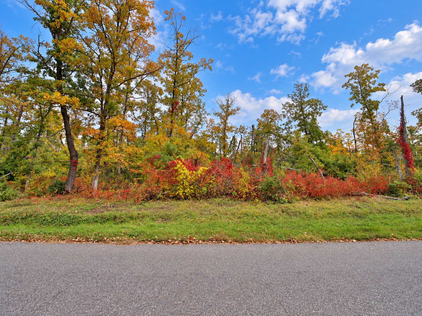 land for sale at TBD Timber Lane in Pequot Lakes, MN (photo 5 of 8)