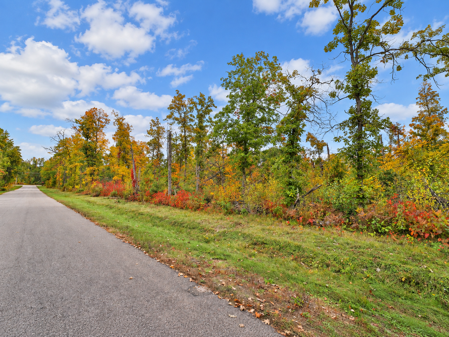 land for sale at TBD Timber Lane in Pequot Lakes, MN (photo 6 of 8)