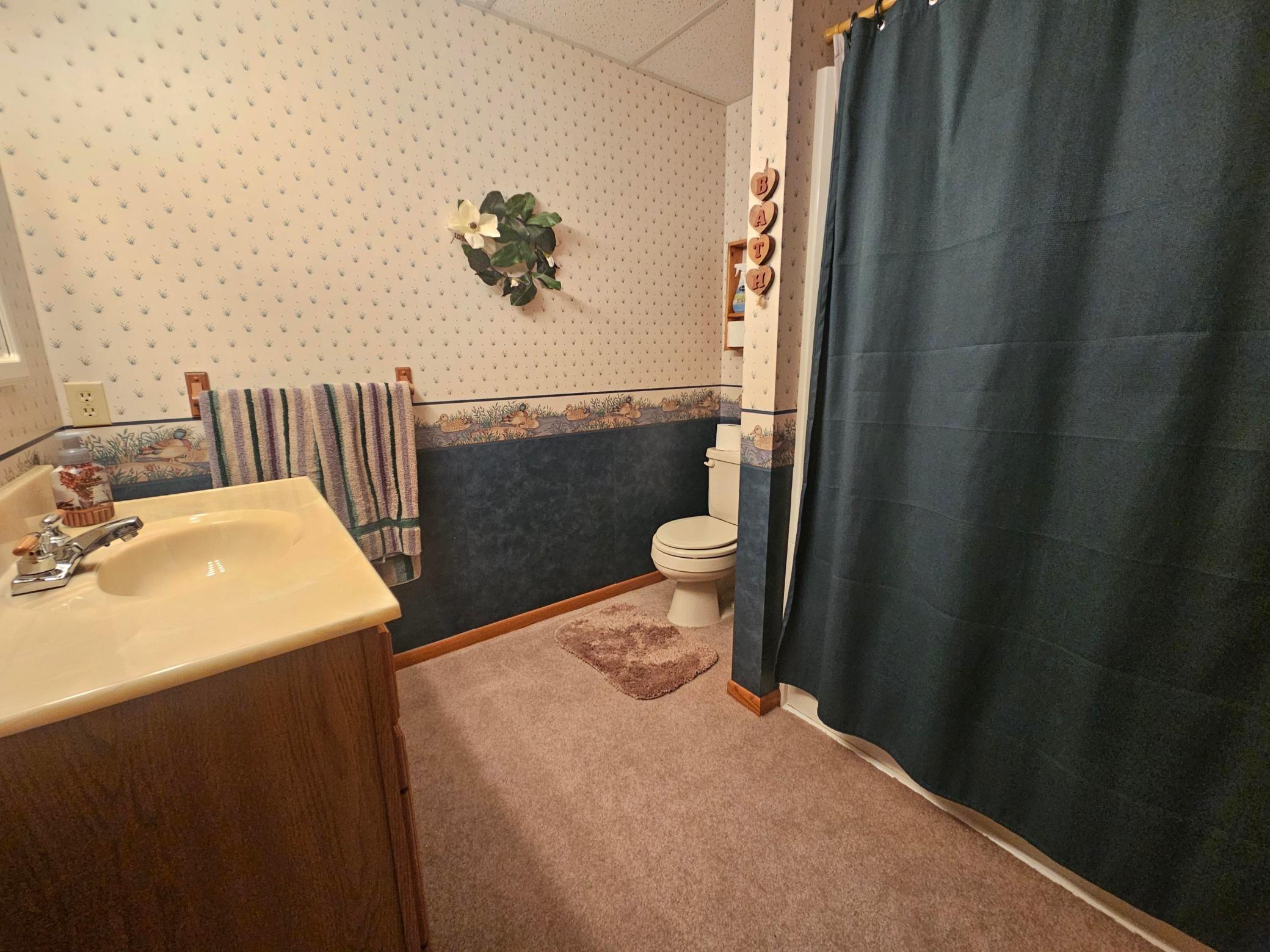 1995 single family home for sale at 1409 6th Avenue N in Wahpeton, ND — 4 bed, 3 bath (photo 26 of 32)