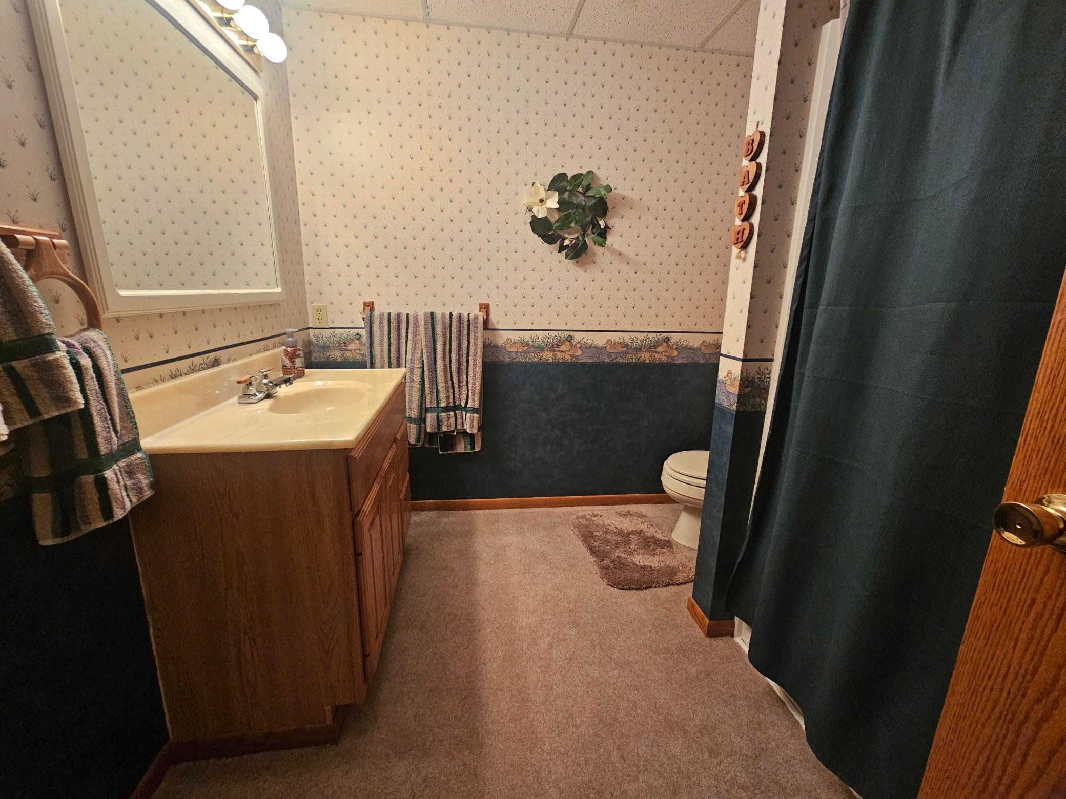 1995 single family home for sale at 1409 6th Avenue N in Wahpeton, ND — 4 bed, 3 bath (photo 27 of 32)