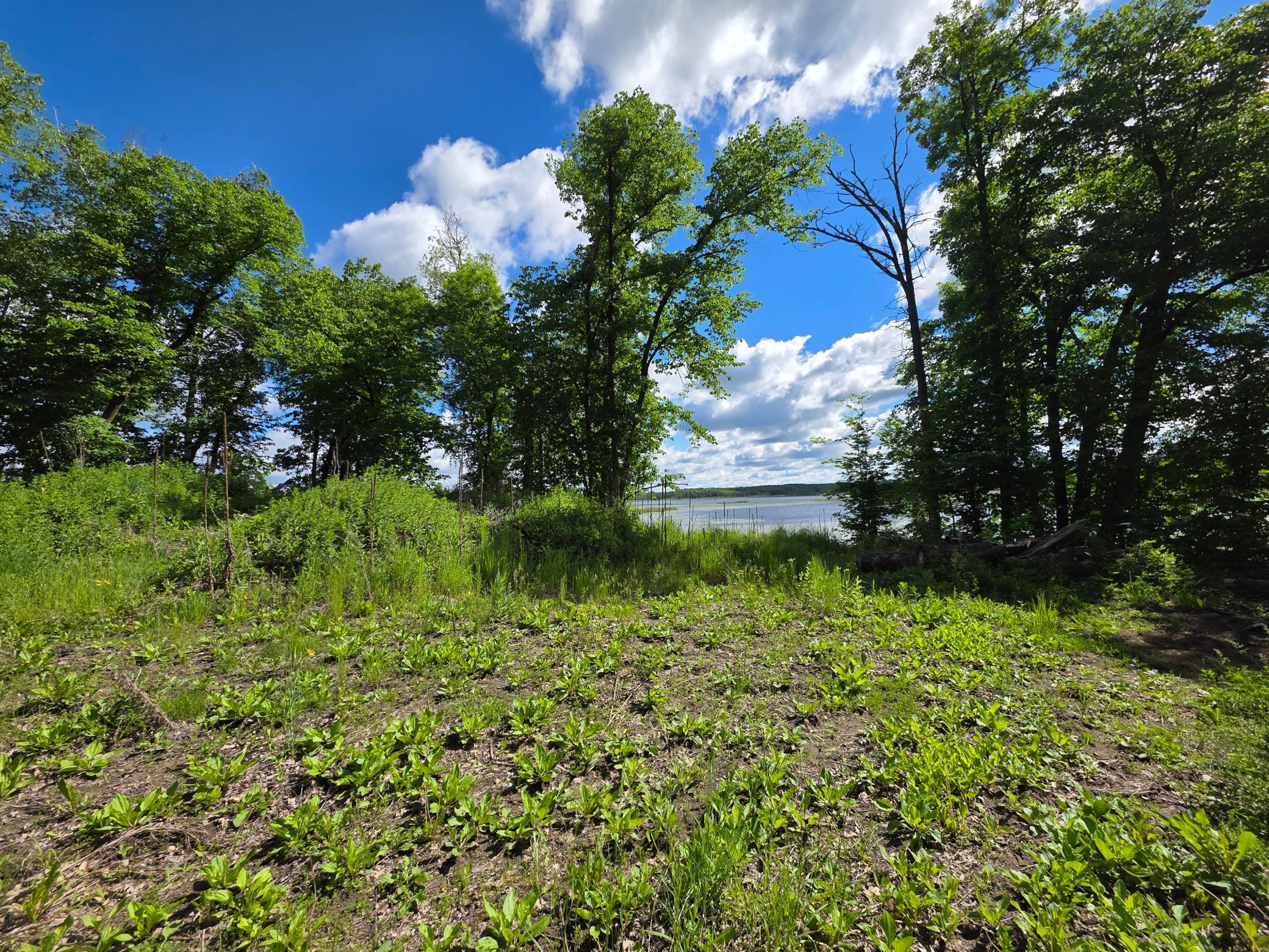 land for sale at TBD St Hwy 113 in Waubun, MN (photo 2 of 6)