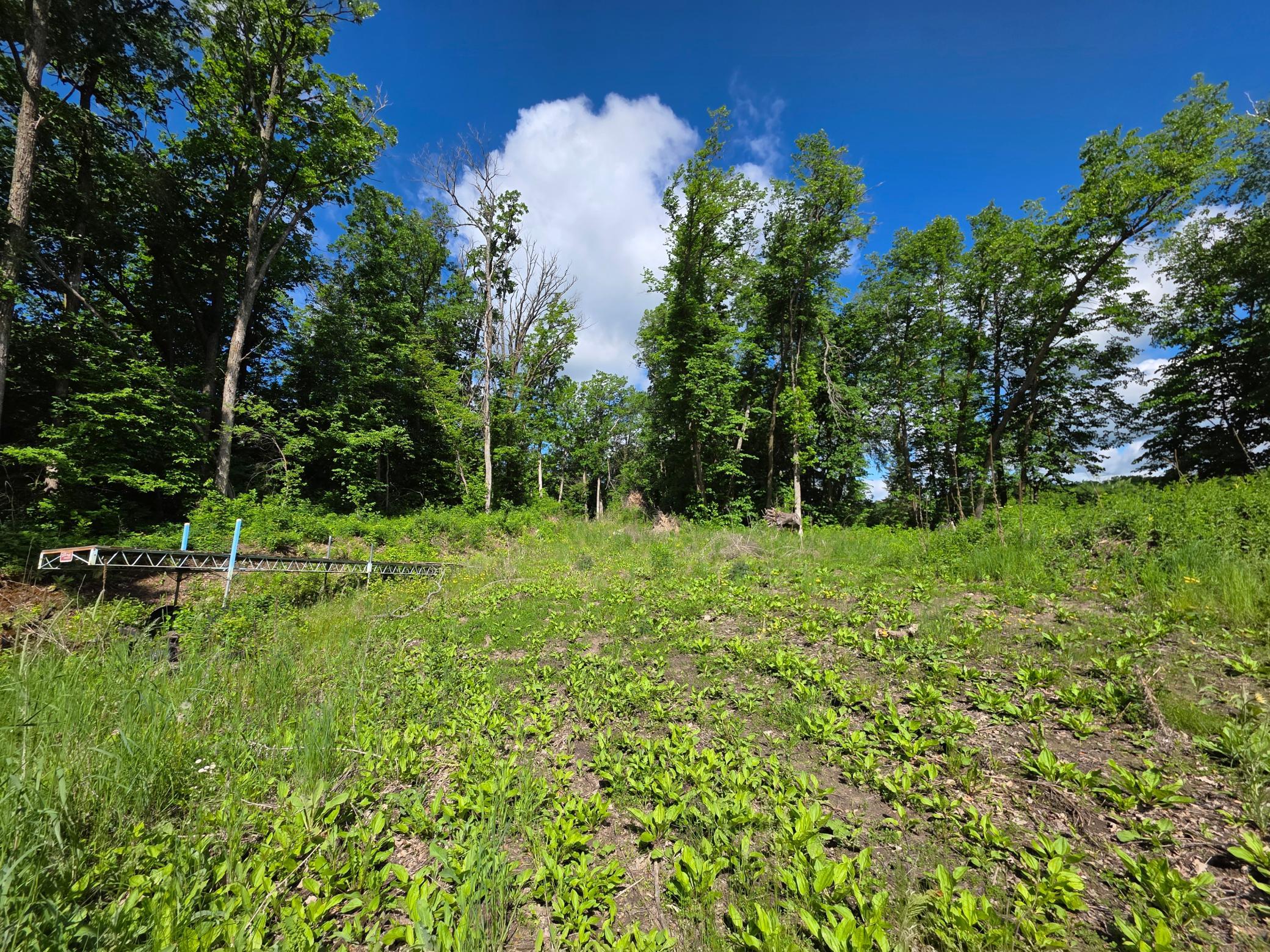 land for sale at TBD St Hwy 113 in Waubun, MN (photo 3 of 6)