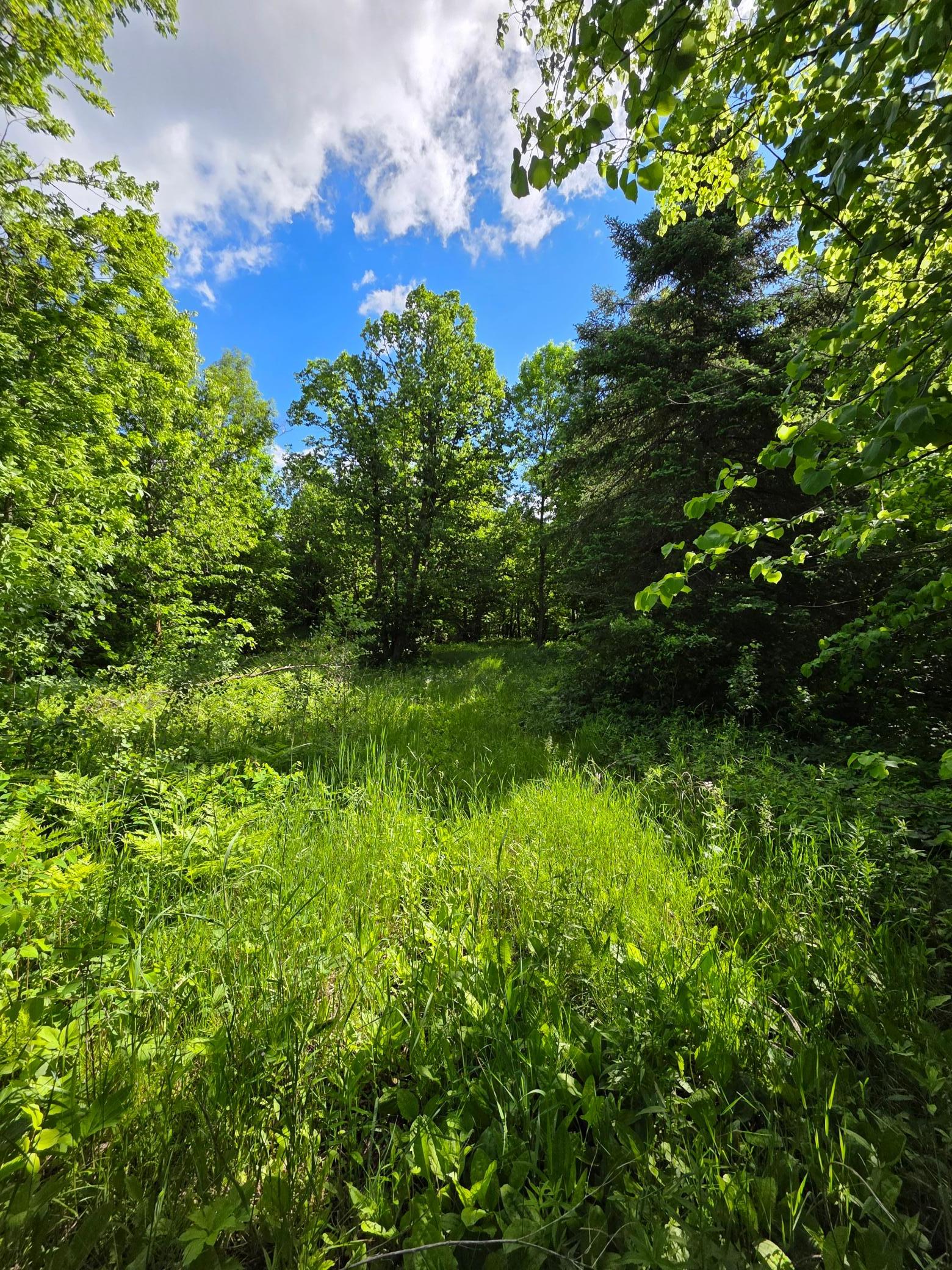 land for sale at TBD St Hwy 113 in Waubun, MN (photo 4 of 6)