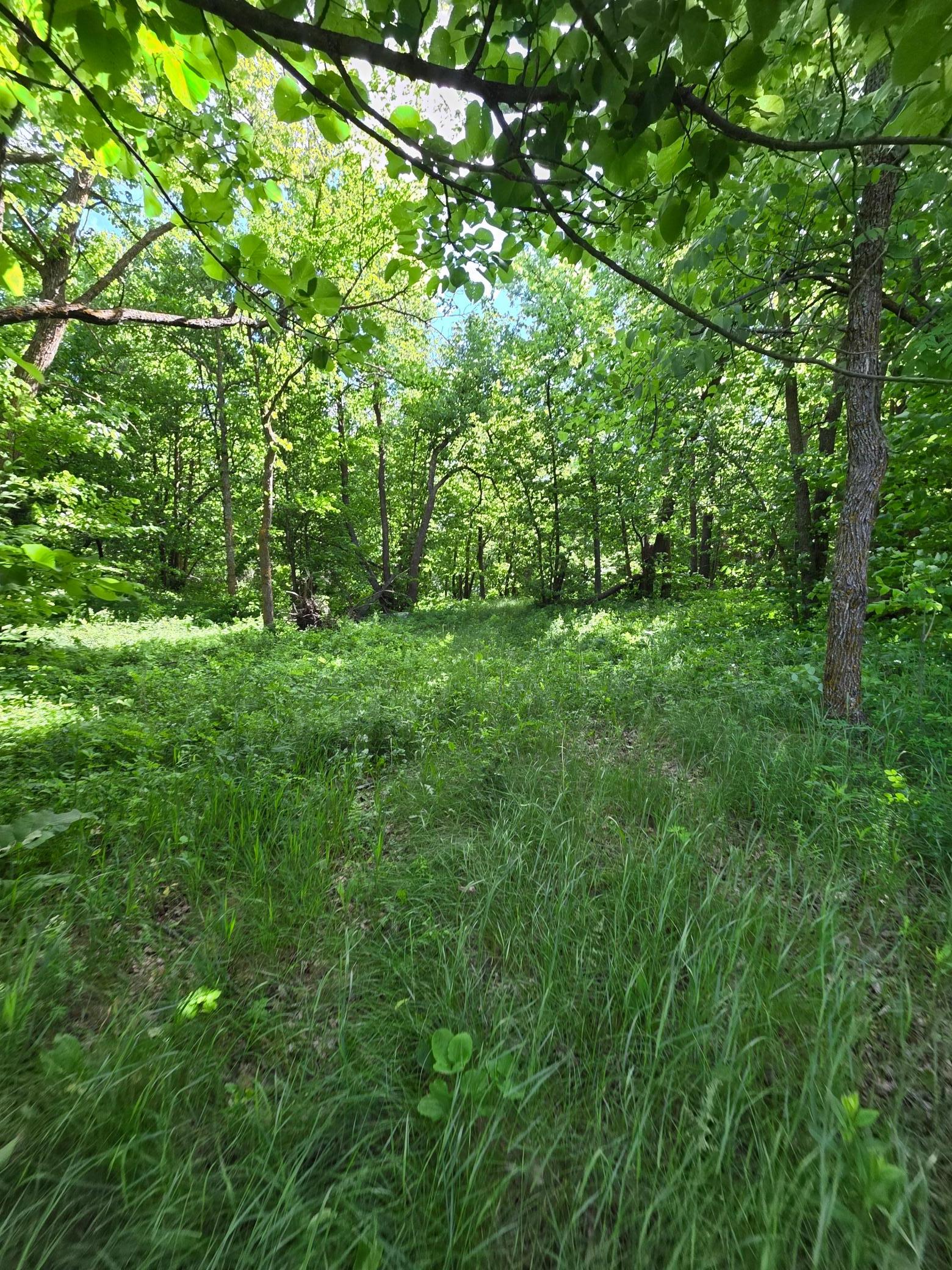 land for sale at TBD St Hwy 113 in Waubun, MN (photo 5 of 6)