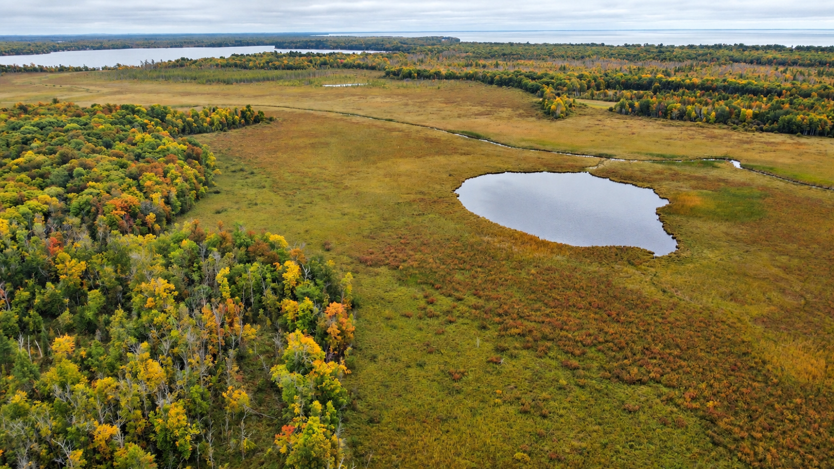 land for sale at Lot 14 Beaver Drive in Brainerd, MN (photo 7 of 10)