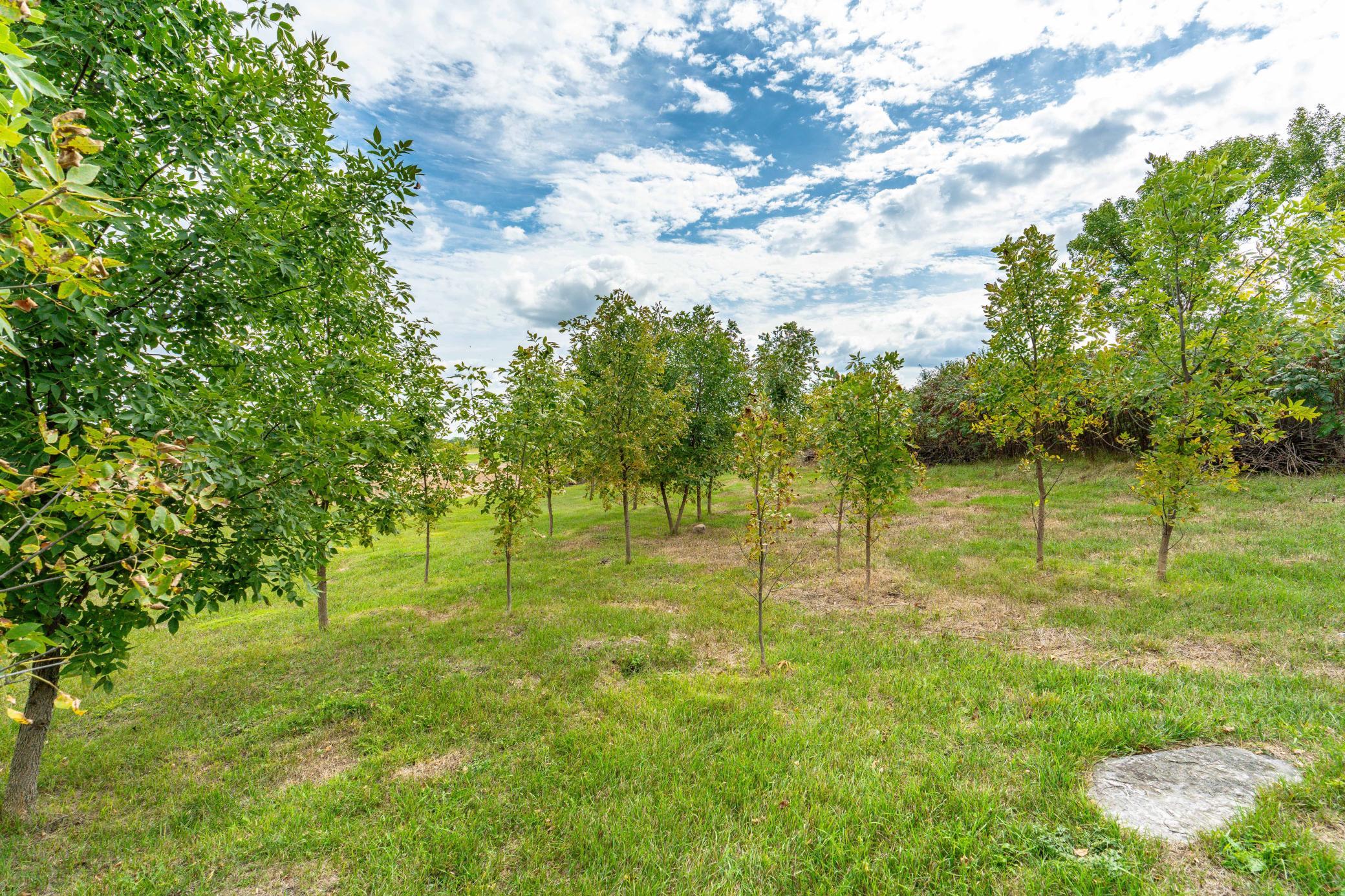 land for sale at 3520 Scenic Drive in Fergus Falls, MN (photo 7 of 14)