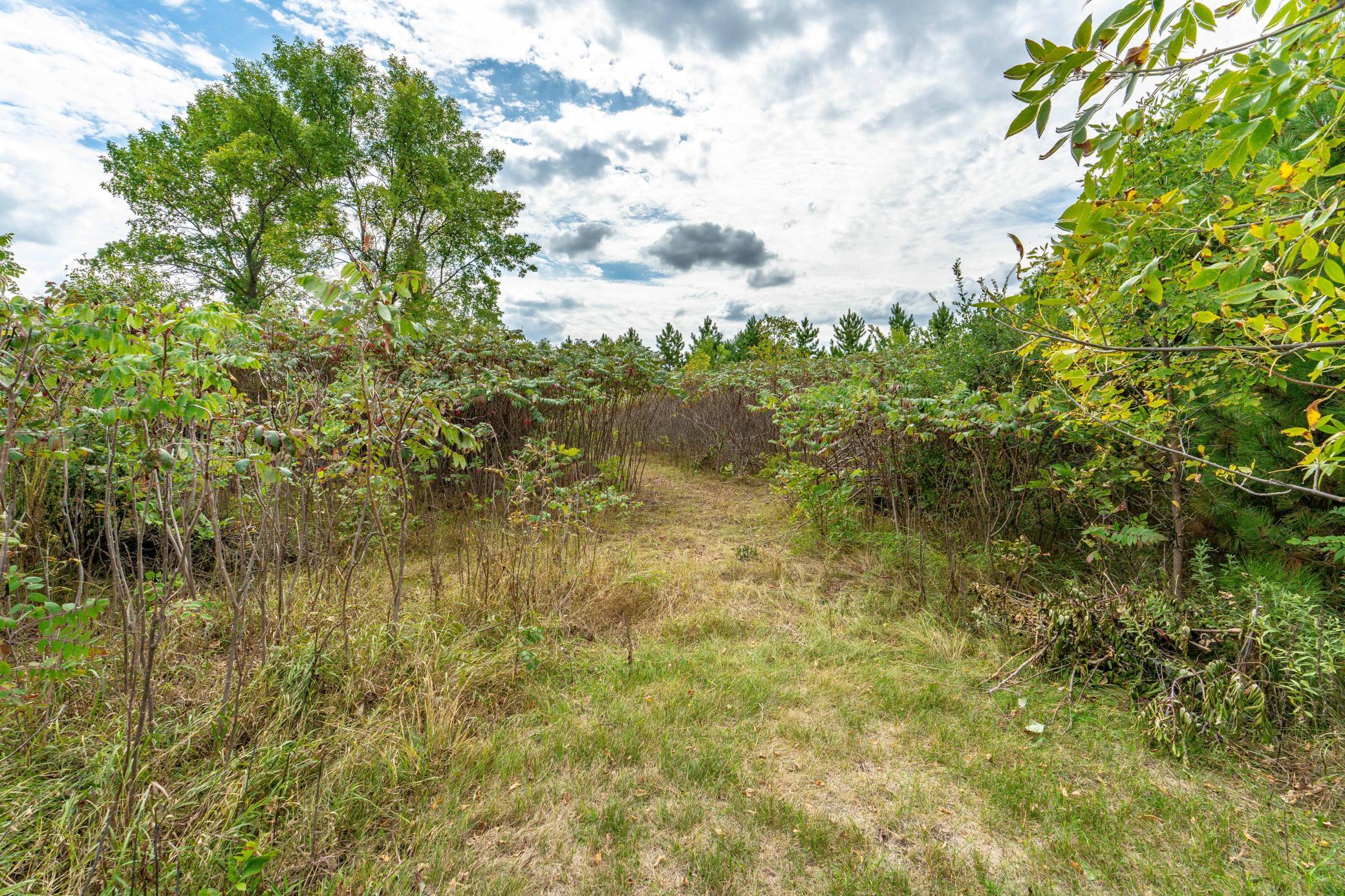 land for sale at 3520 Scenic Drive in Fergus Falls, MN (photo 8 of 14)