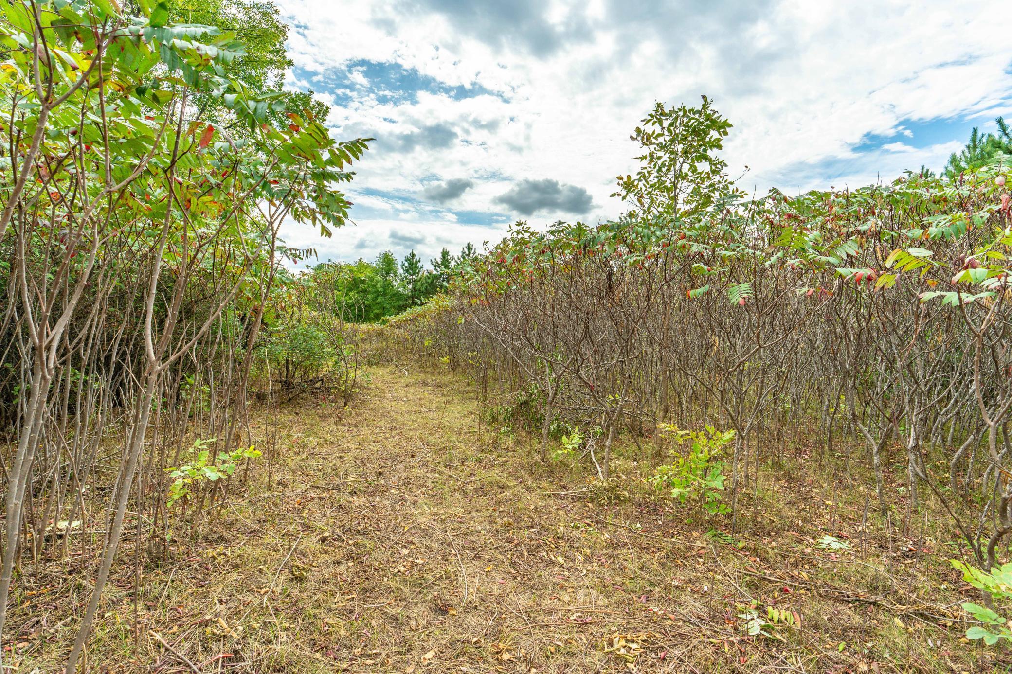 land for sale at 3520 Scenic Drive in Fergus Falls, MN (photo 9 of 14)