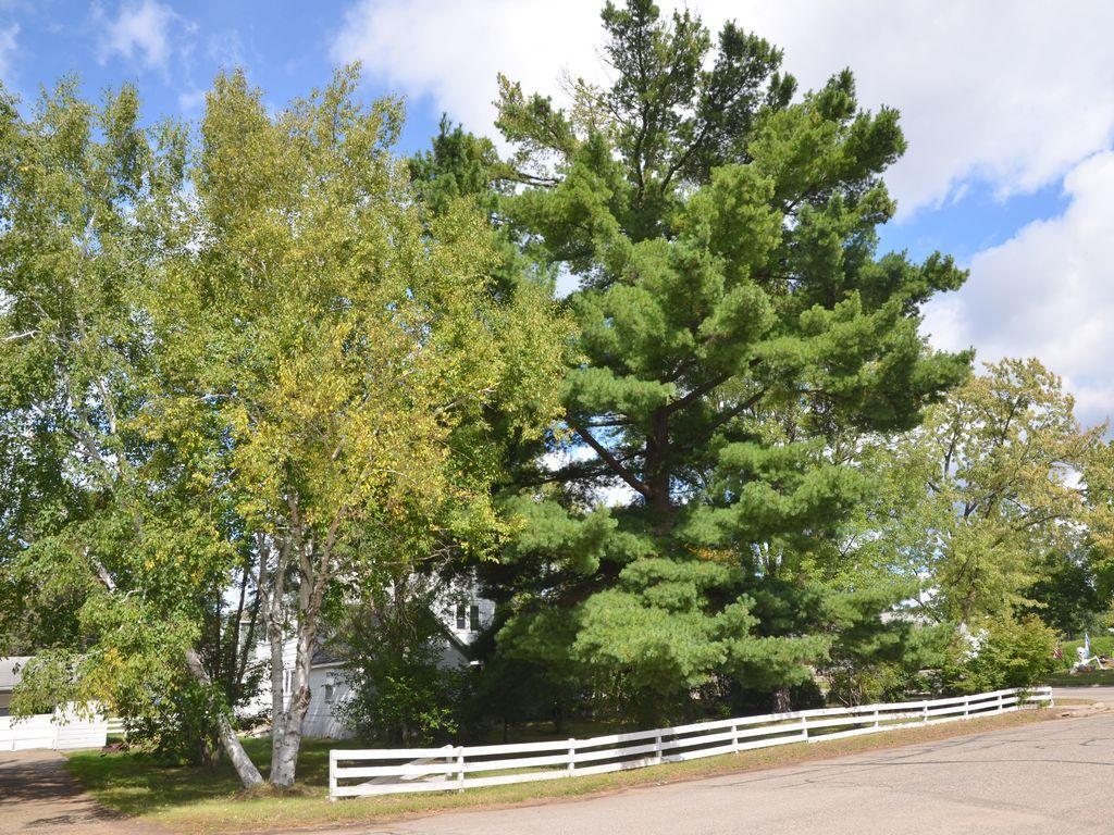 1890 single family home for sale at 303 Park Avenue N in Park Rapids, MN — 5 bed, 2 bath (photo 7 of 8)