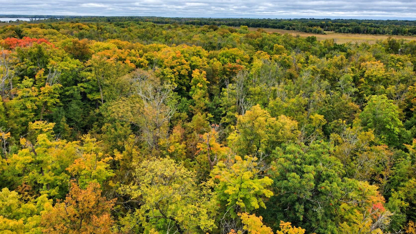land for sale at Lot 12 Beaver Drive in Brainerd, MN (photo 2 of 13)