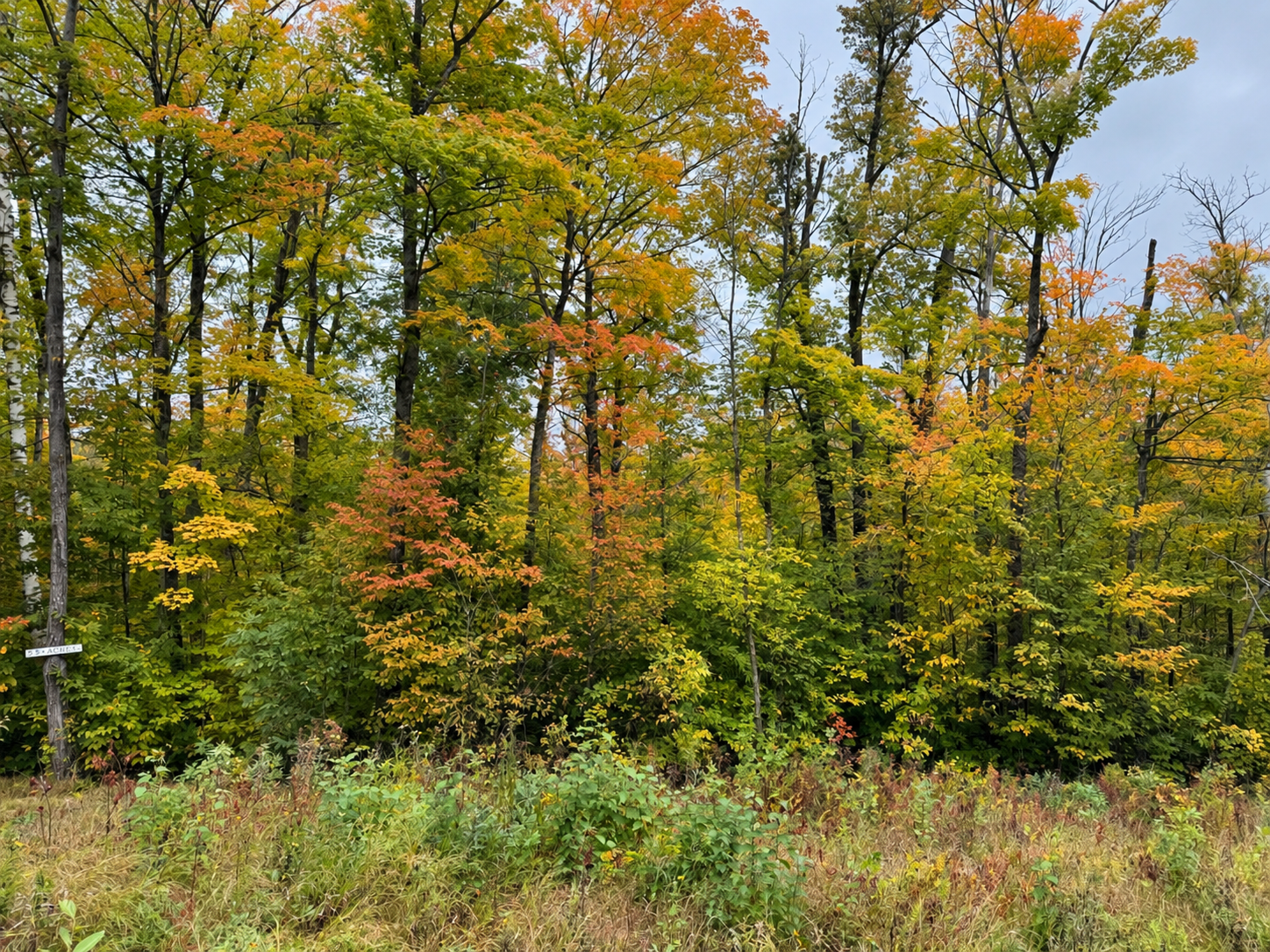 land for sale at Lot 12 Beaver Drive in Brainerd, MN (photo 11 of 13)