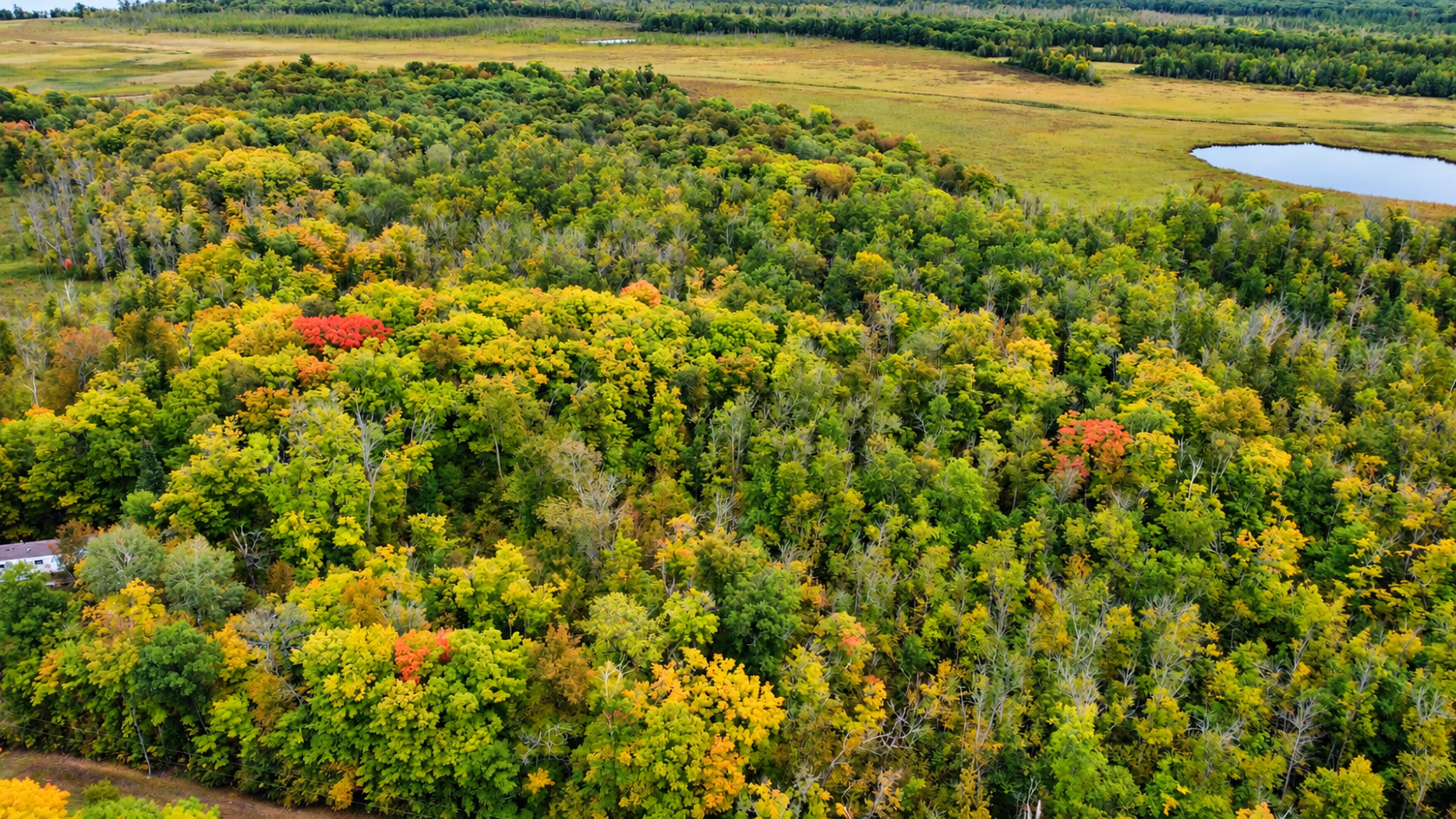 land for sale at Lot 12 Beaver Drive in Brainerd, MN (photo 3 of 13)
