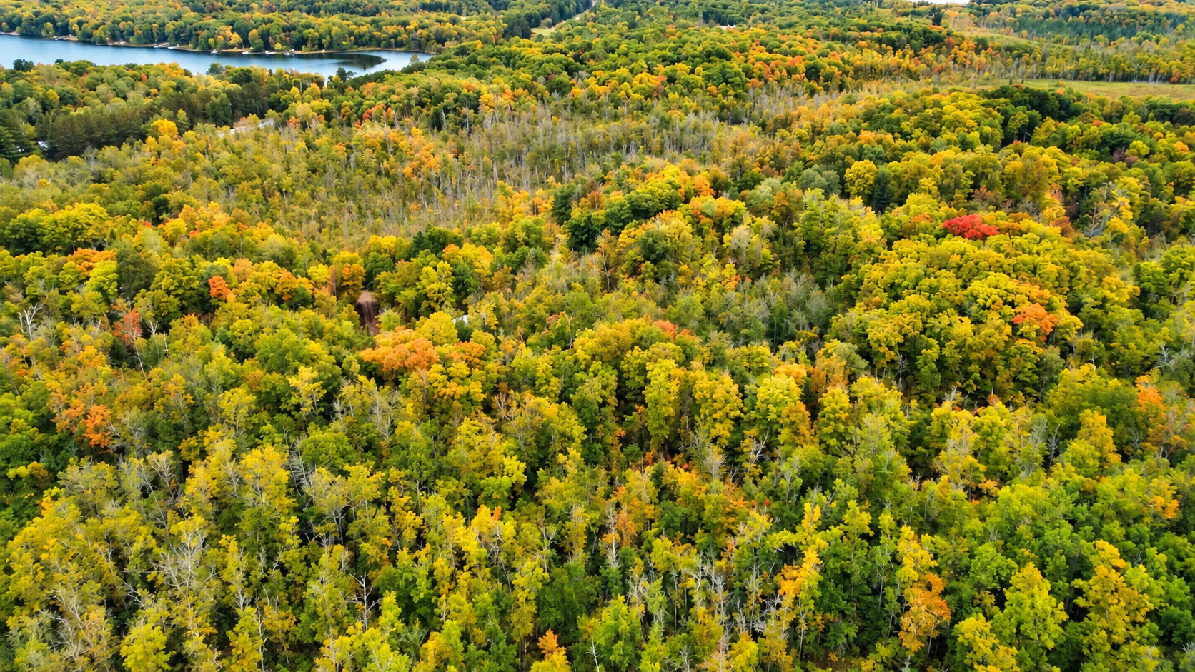 land for sale at Lot 12 Beaver Drive in Brainerd, MN (photo 7 of 13)