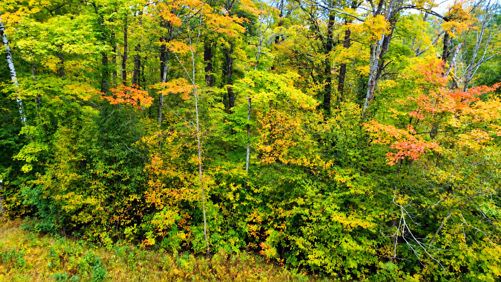 land for sale at Lot 12 Beaver Drive in Brainerd, MN (photo 8 of 13)