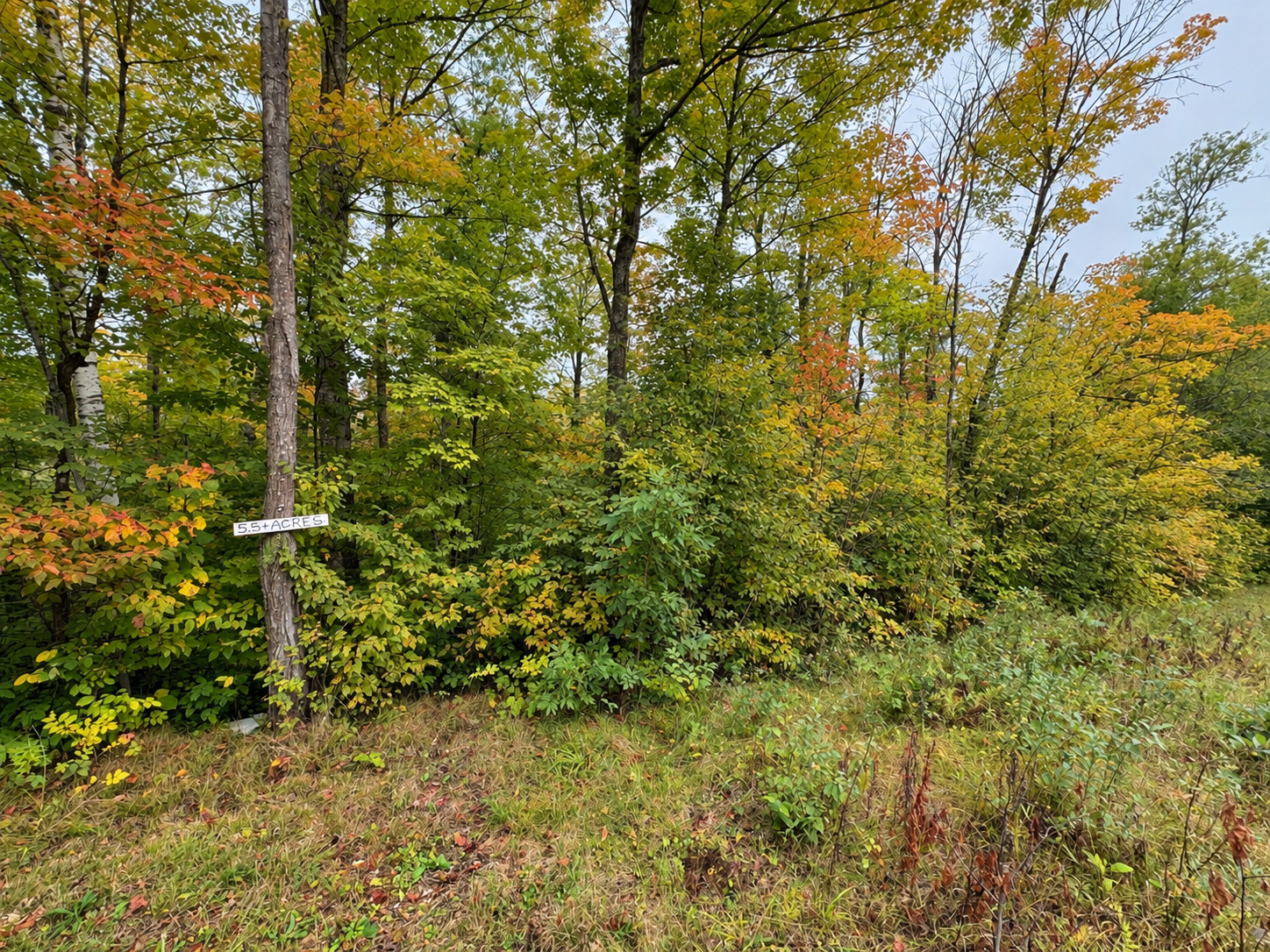 land for sale at Lot 12 Beaver Drive in Brainerd, MN (photo 10 of 13)