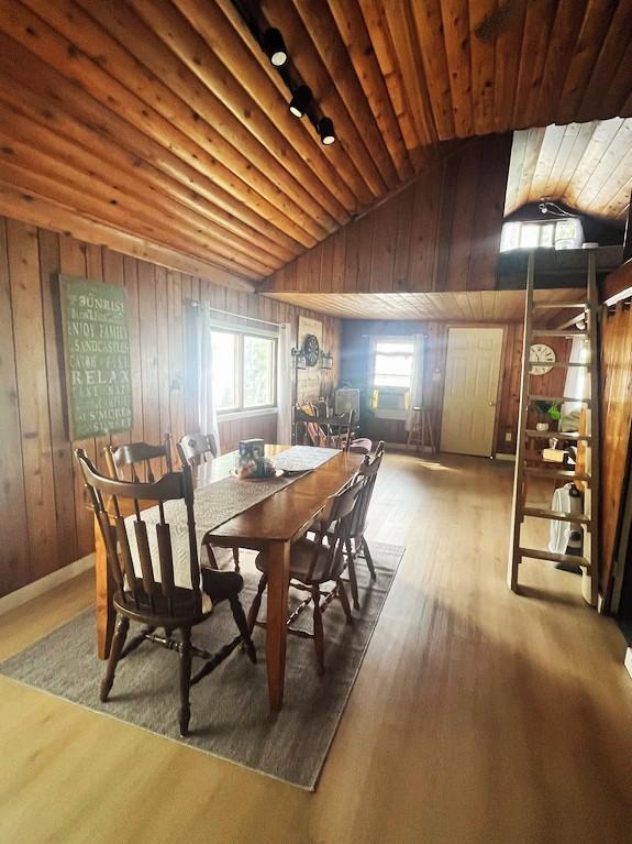 1972 single family home for sale at 13285 Birch Circle in Lake Park, MN — 4 bed, 1 bath (photo 14 of 20)