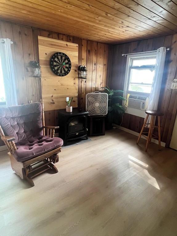 1972 single family home for sale at 13285 Birch Circle in Lake Park, MN — 4 bed, 1 bath (photo 10 of 20)