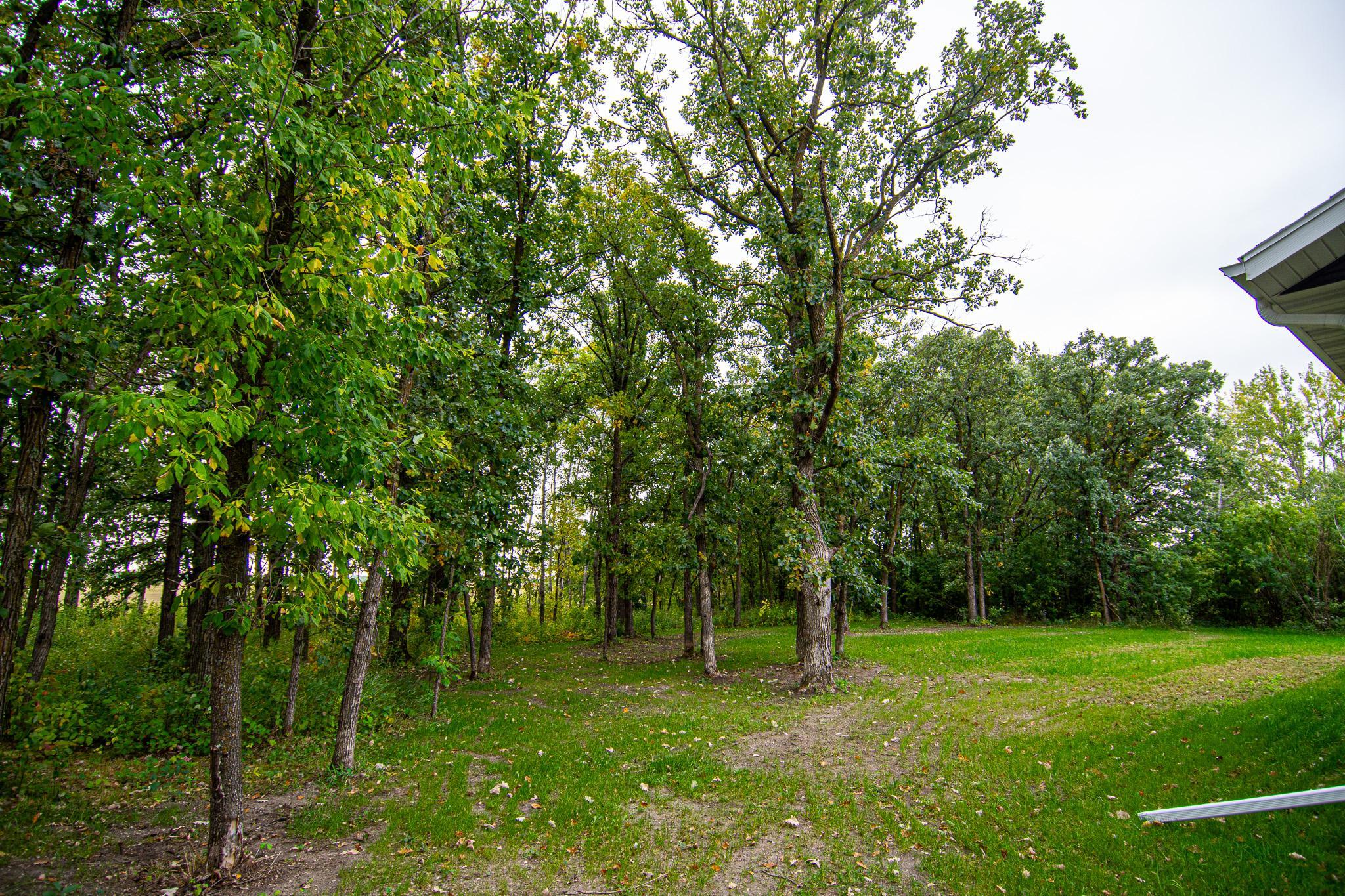 2023 single family home for sale at 4331 State Hwy 11 in Karlstad, MN — 3 bed, 2 bath (photo 59 of 60)