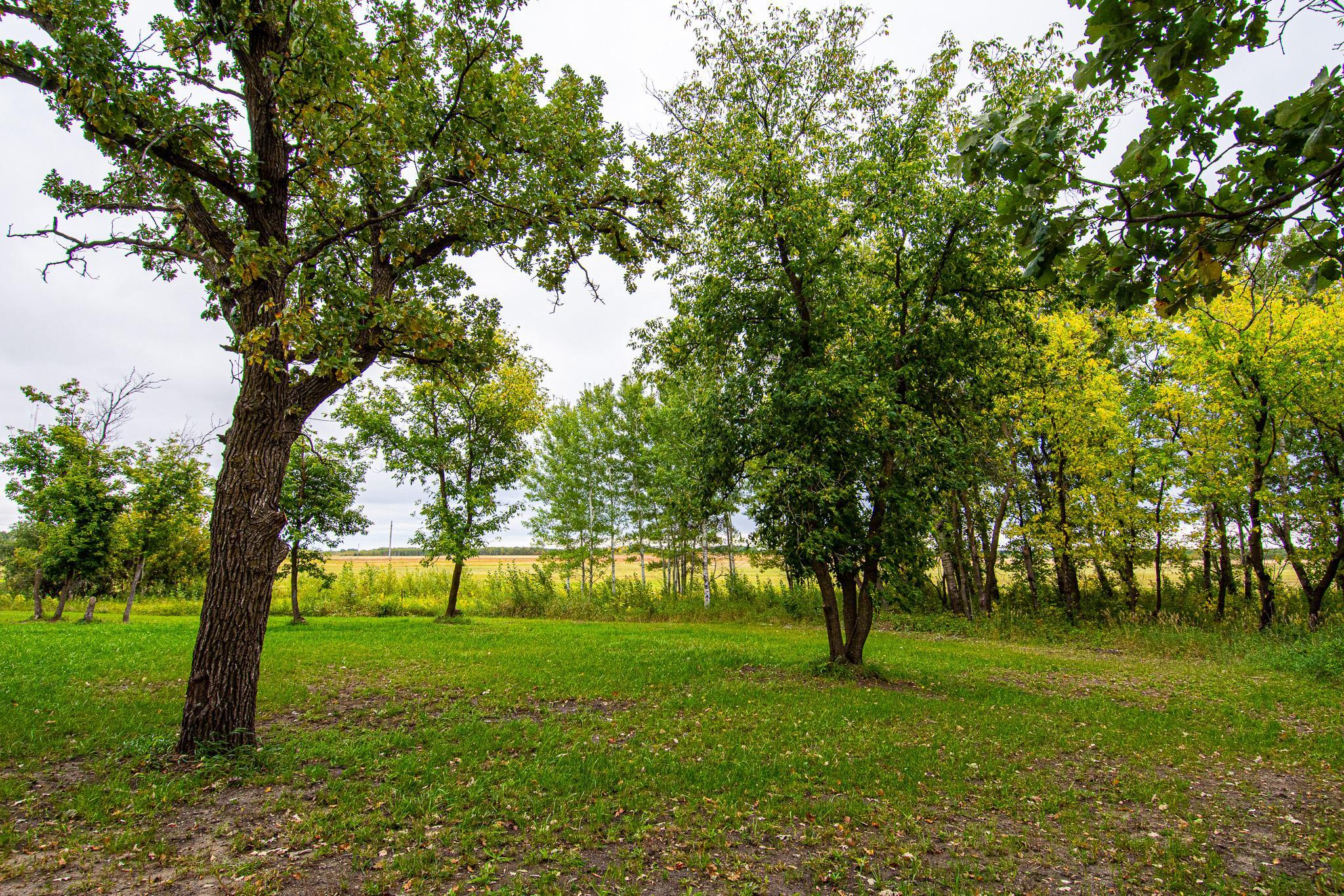2023 single family home for sale at 4341 State Hwy 11 in Karlstad, MN — 3 bed, 2 bath (photo 47 of 48)