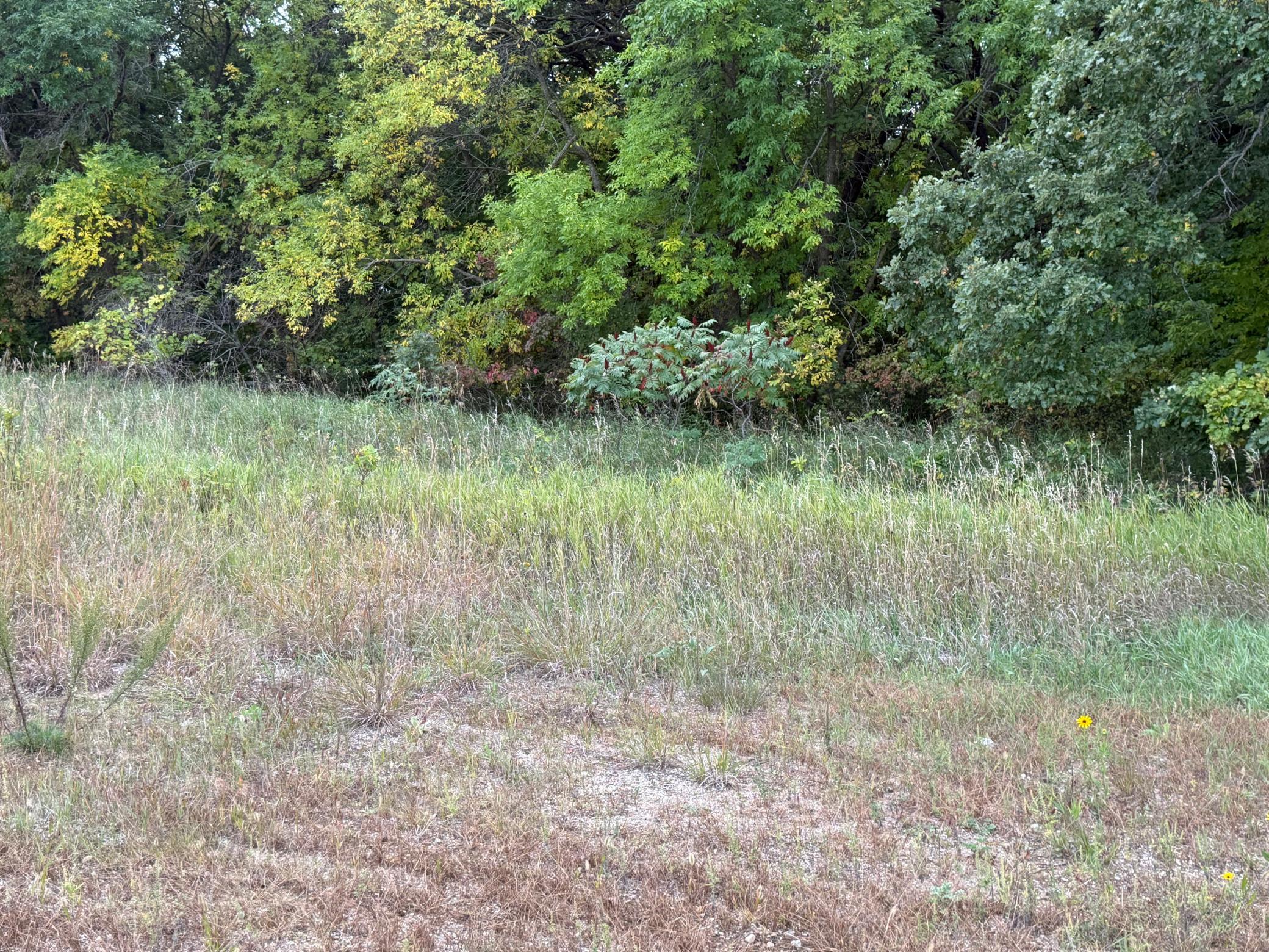 land for sale at Lot 11 TBD Creek View Drive in Pelican Rapids, MN