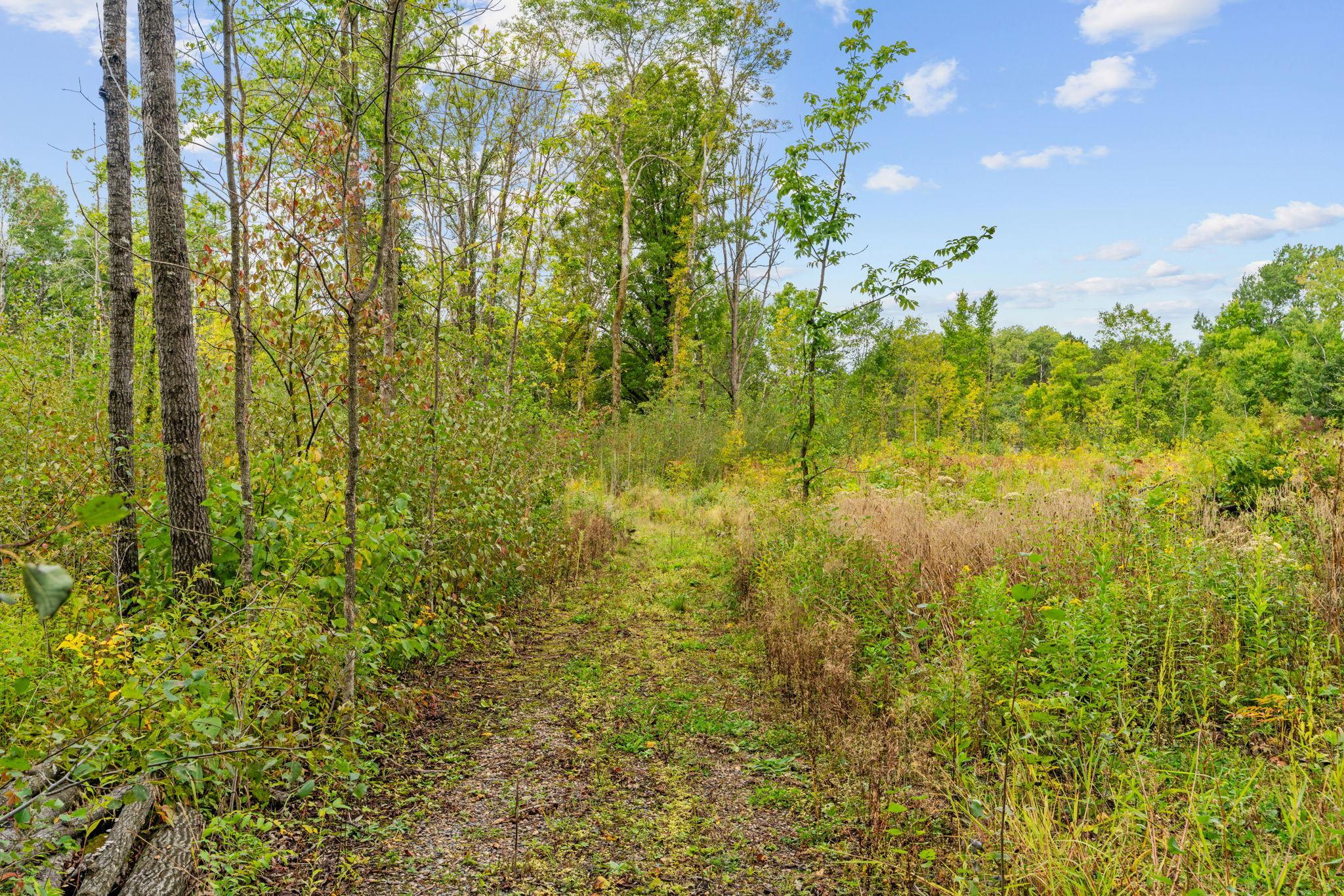 land for sale at 18965 124th in Mc Grath, MN (photo 10 of 25)