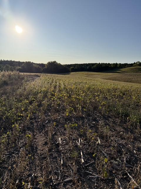 land for sale at 406XX Placid Drive in Dent, MN (photo 3 of 8)