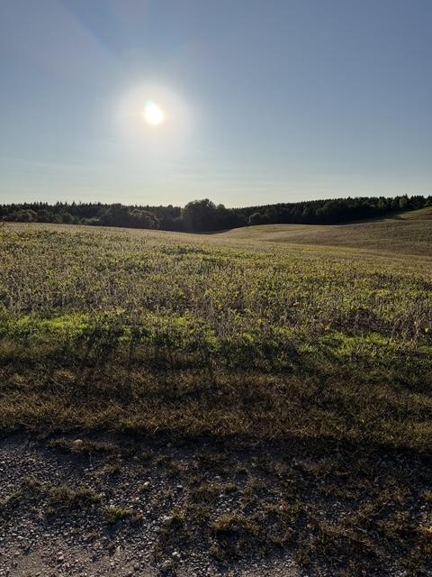 land for sale at 406XX Placid Drive in Dent, MN (photo 5 of 8)