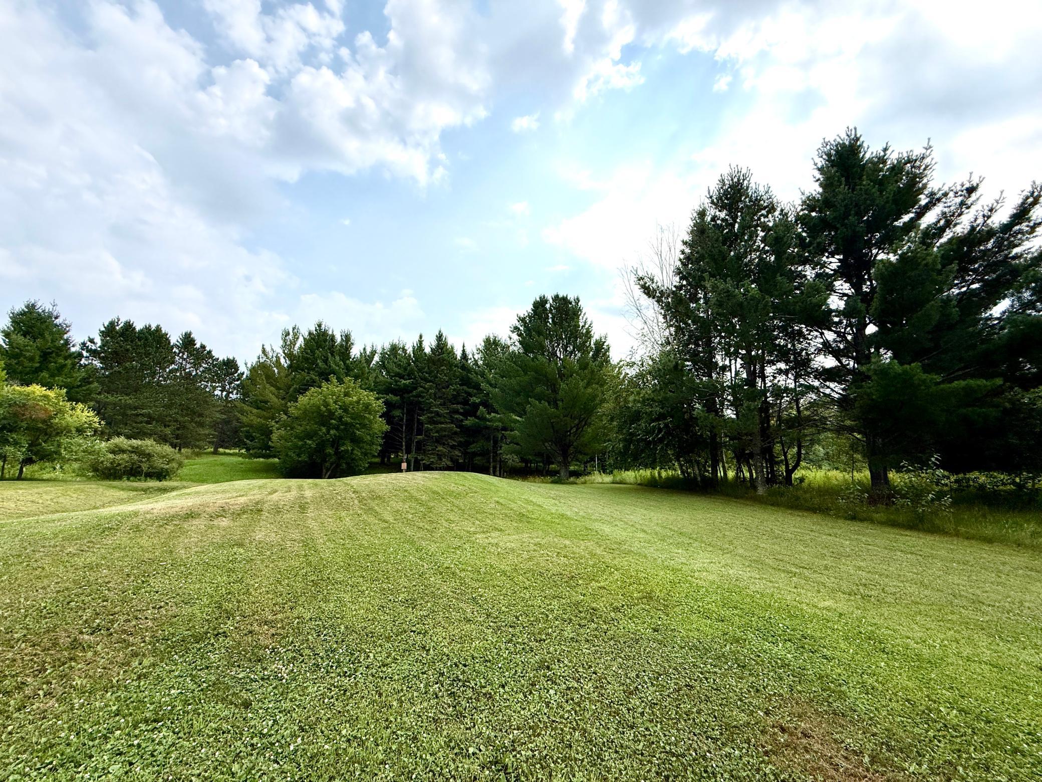1994 single family home for sale at 52855 145th Place in Tamarack, MN — 3 bed, 3 bath (photo 19 of 55)