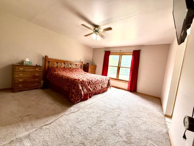 1994 single family home for sale at 52855 145th Place in Tamarack, MN — 3 bed, 3 bath (photo 28 of 55)