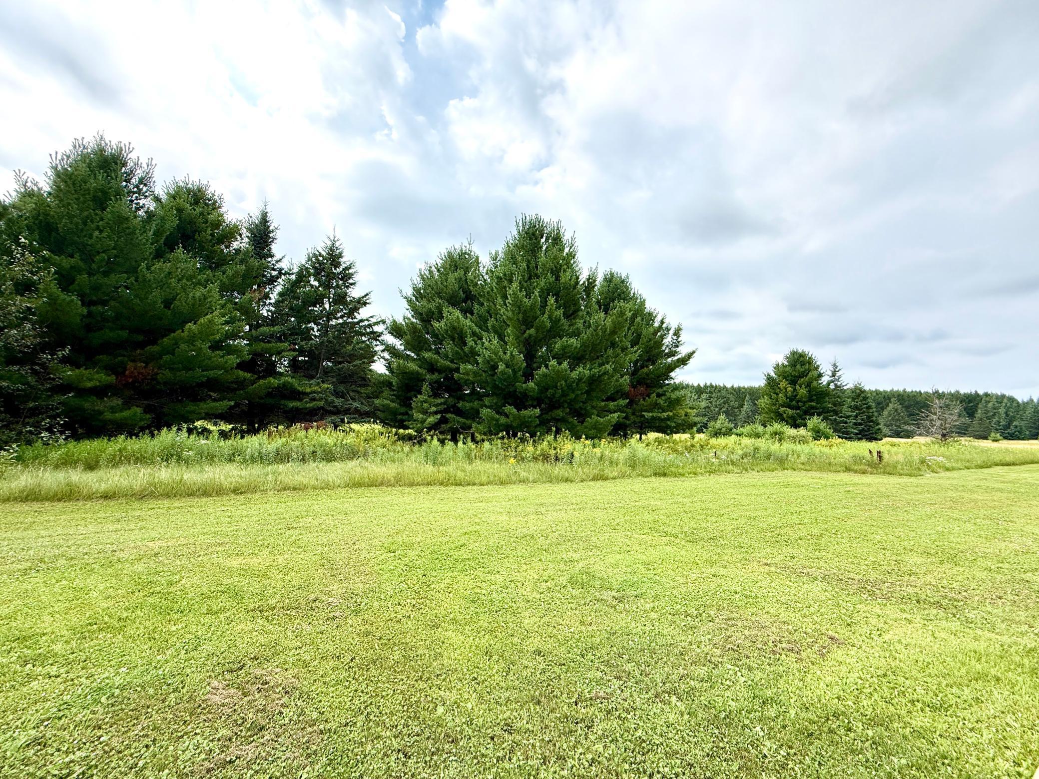 1994 single family home for sale at 52855 145th Place in Tamarack, MN — 3 bed, 3 bath (photo 52 of 55)