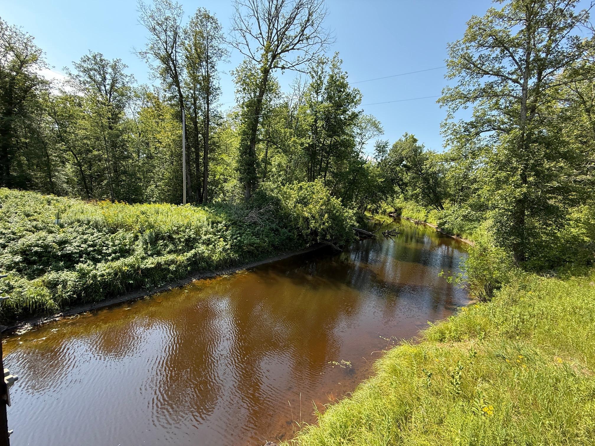 1994 single family home for sale at 52855 145th Place in Tamarack, MN — 3 bed, 3 bath (photo 54 of 55)