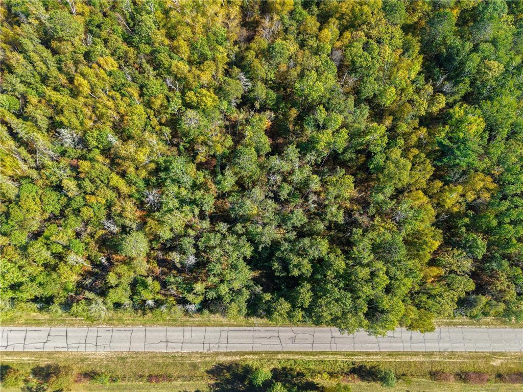 land for sale at 58.11 AC 164th Street in Cass Lake, MN (photo 20 of 52)