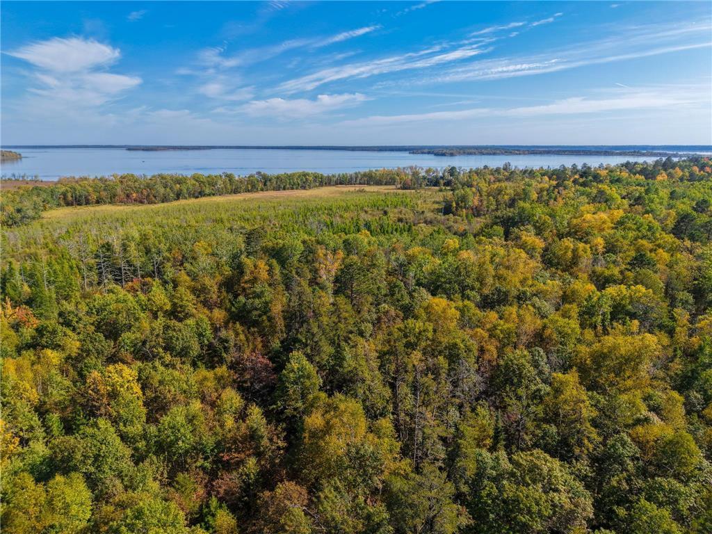 land for sale at 58.11 AC 164th Street in Cass Lake, MN (photo 45 of 52)