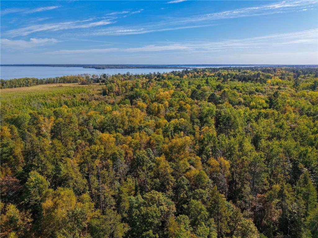 land for sale at 58.11 AC 164th Street in Cass Lake, MN (photo 46 of 52)