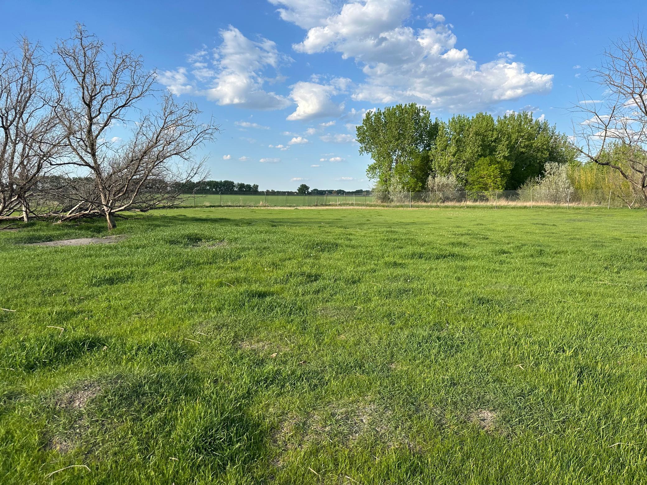 1974 single family home for sale at 1582 NE Freedom Avenue in Manvel, ND — 2 bed, 1 bath (photo 2 of 55)