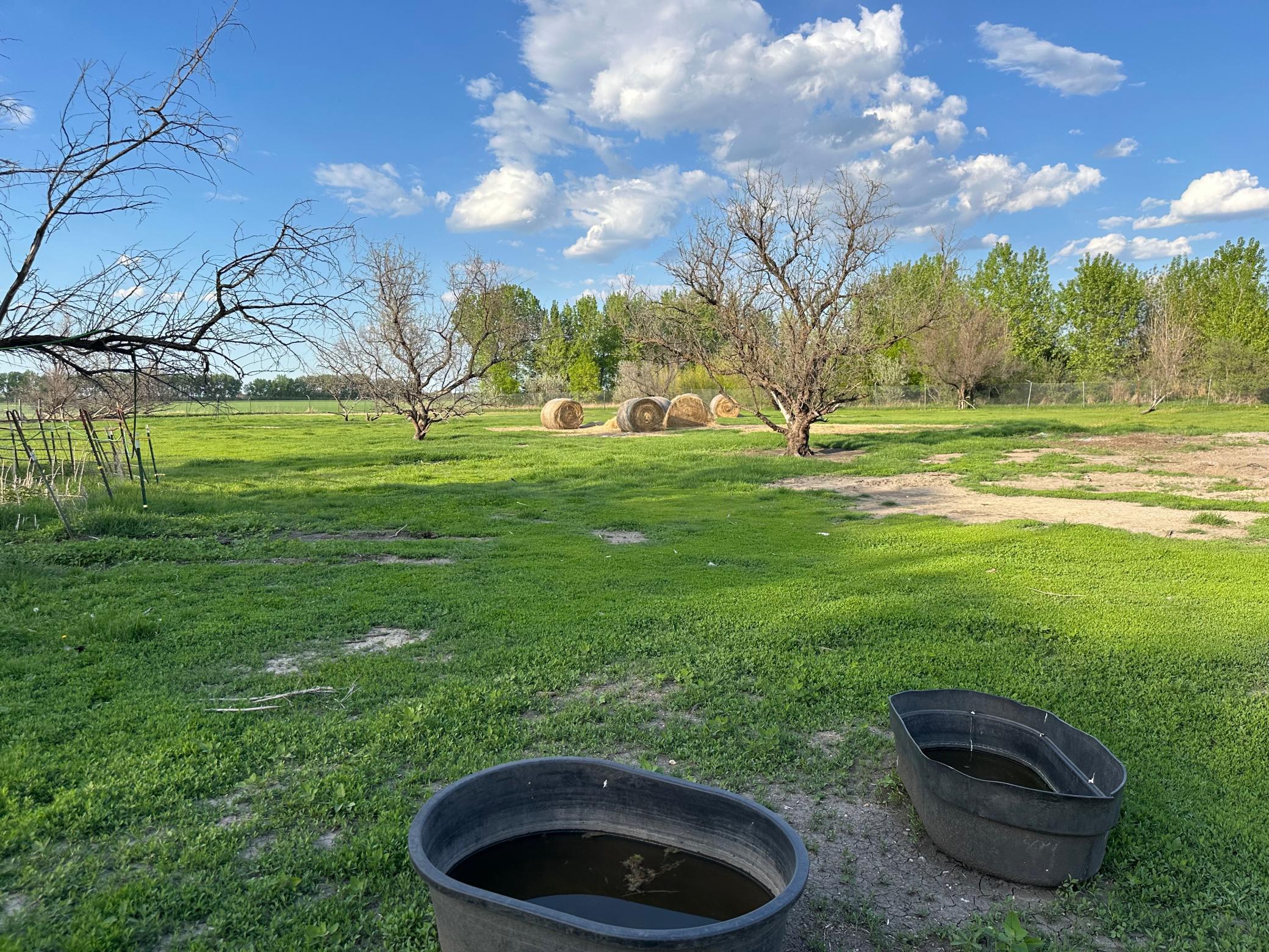 1974 single family home for sale at 1582 NE Freedom Avenue in Manvel, ND — 2 bed, 1 bath (photo 15 of 55)