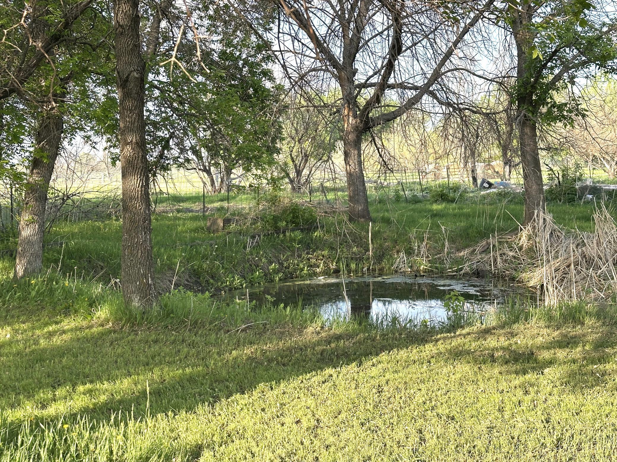 1974 single family home for sale at 1582 NE Freedom Avenue in Manvel, ND — 2 bed, 1 bath (photo 19 of 55)