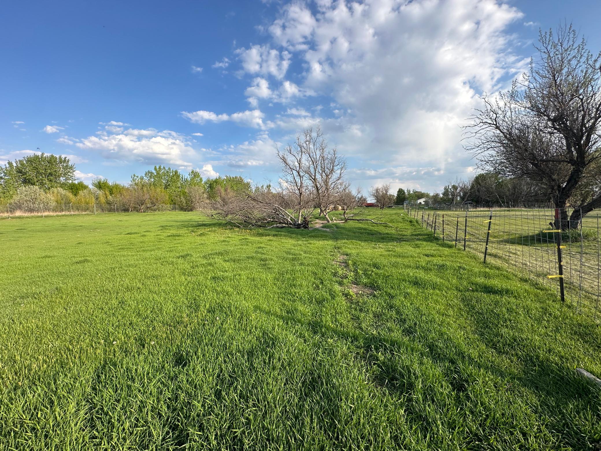 1974 single family home for sale at 1582 NE Freedom Avenue in Manvel, ND — 2 bed, 1 bath (photo 4 of 55)