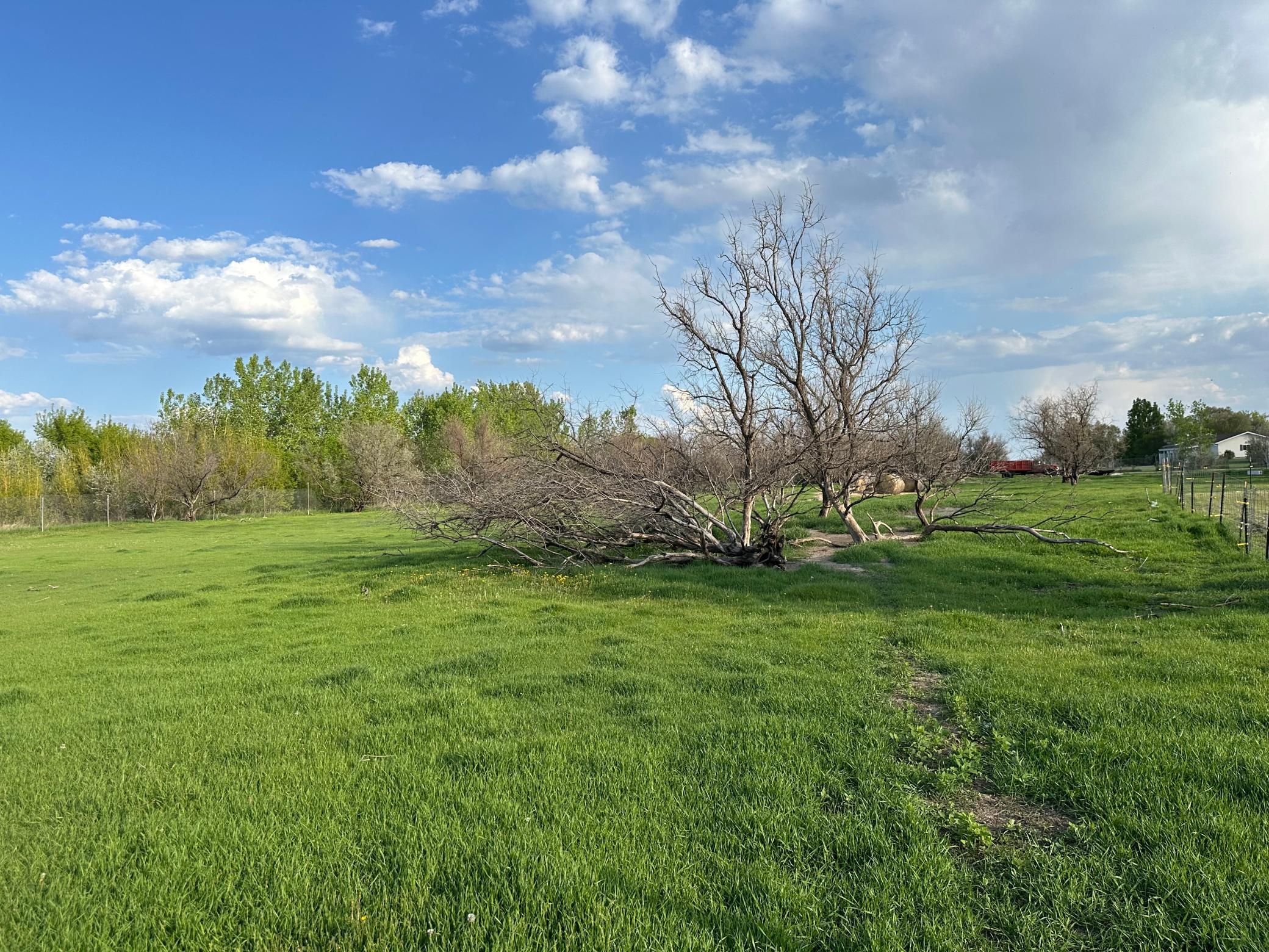 1974 single family home for sale at 1582 NE Freedom Avenue in Manvel, ND — 2 bed, 1 bath (photo 5 of 55)