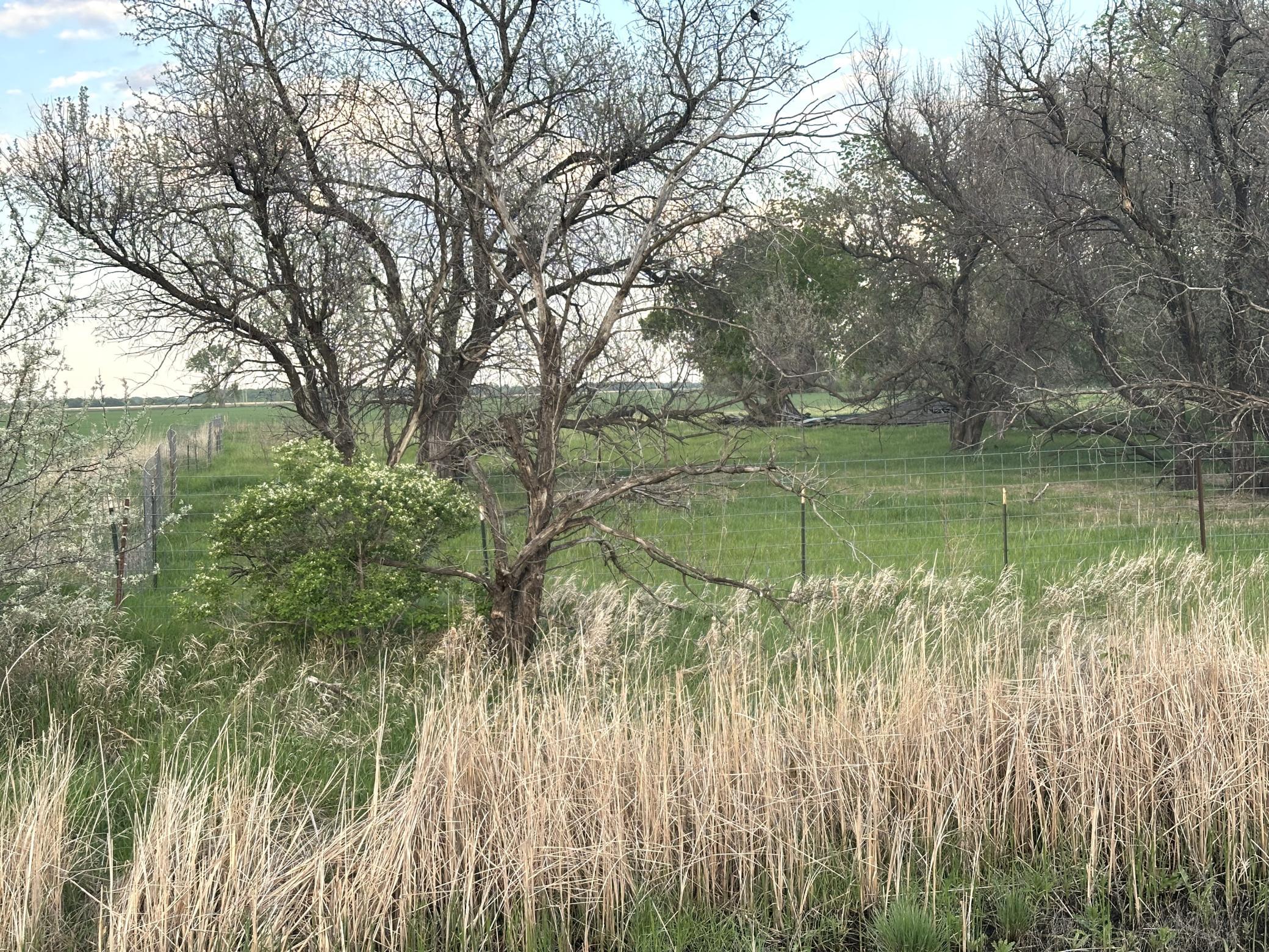 1974 single family home for sale at 1582 NE Freedom Avenue in Manvel, ND — 2 bed, 1 bath (photo 48 of 55)