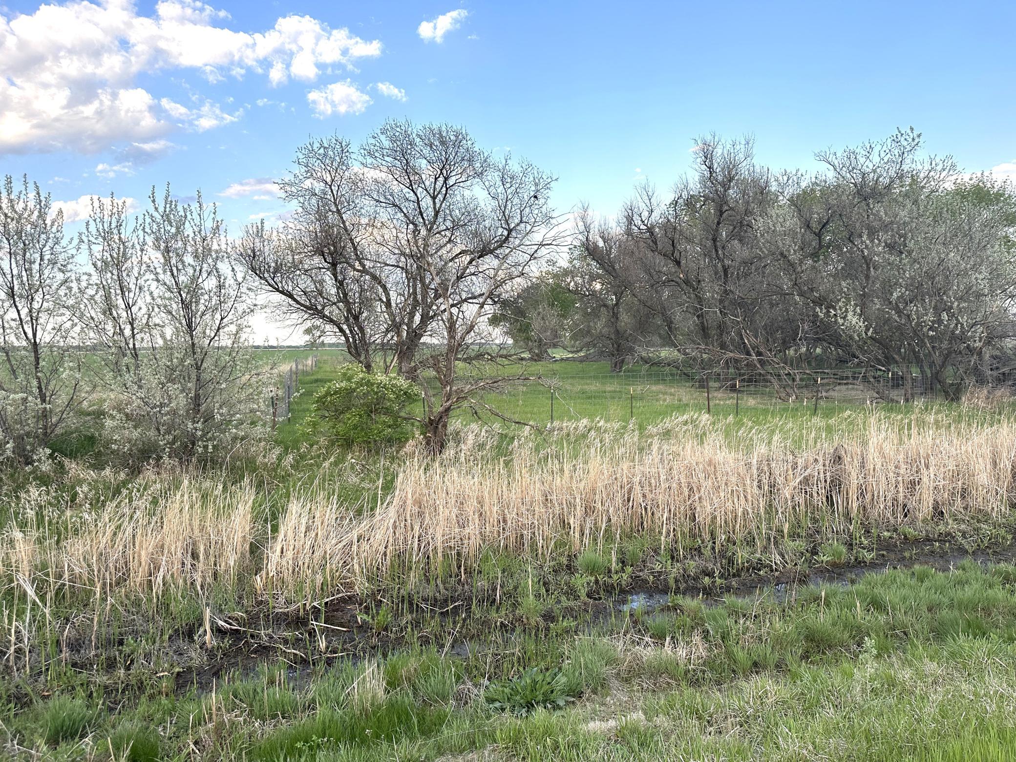 1974 single family home for sale at 1582 NE Freedom Avenue in Manvel, ND — 2 bed, 1 bath (photo 49 of 55)