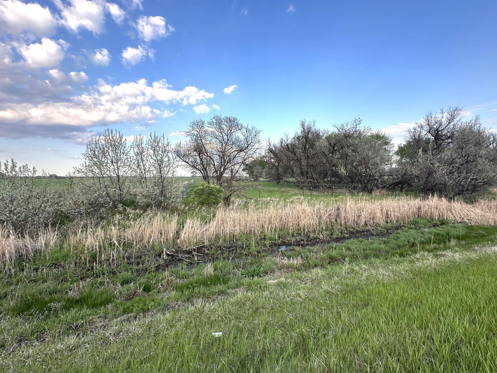 1974 single family home for sale at 1582 NE Freedom Avenue in Manvel, ND — 2 bed, 1 bath (photo 50 of 55)
