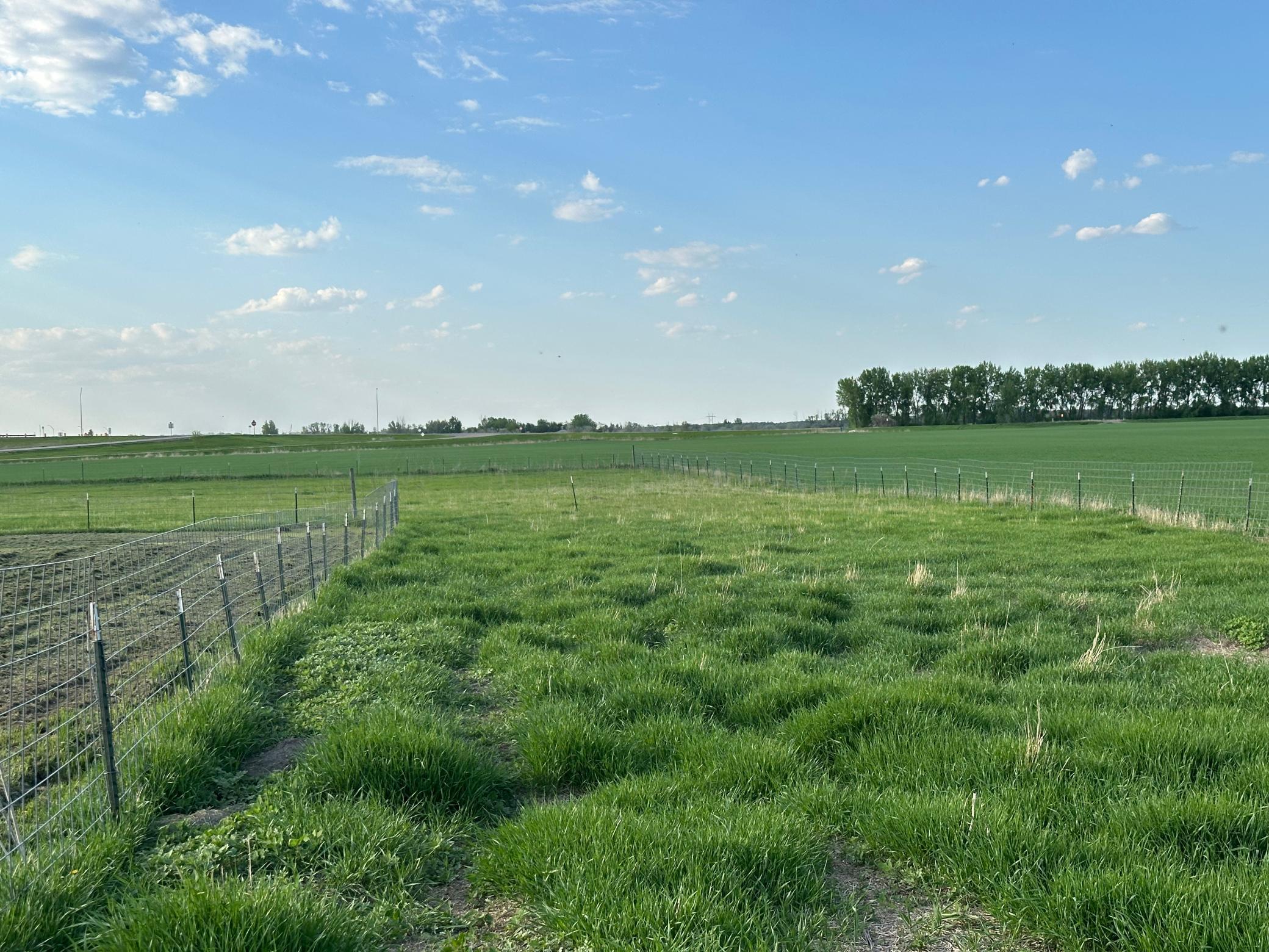 1974 single family home for sale at 1582 NE Freedom Avenue in Manvel, ND — 2 bed, 1 bath (photo 6 of 55)