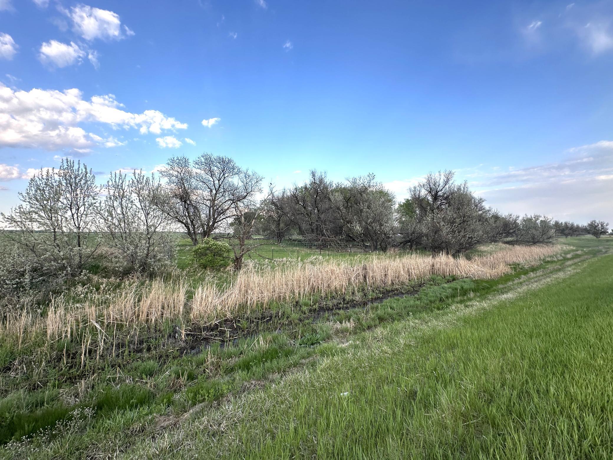 1974 single family home for sale at 1582 NE Freedom Avenue in Manvel, ND — 2 bed, 1 bath (photo 51 of 55)