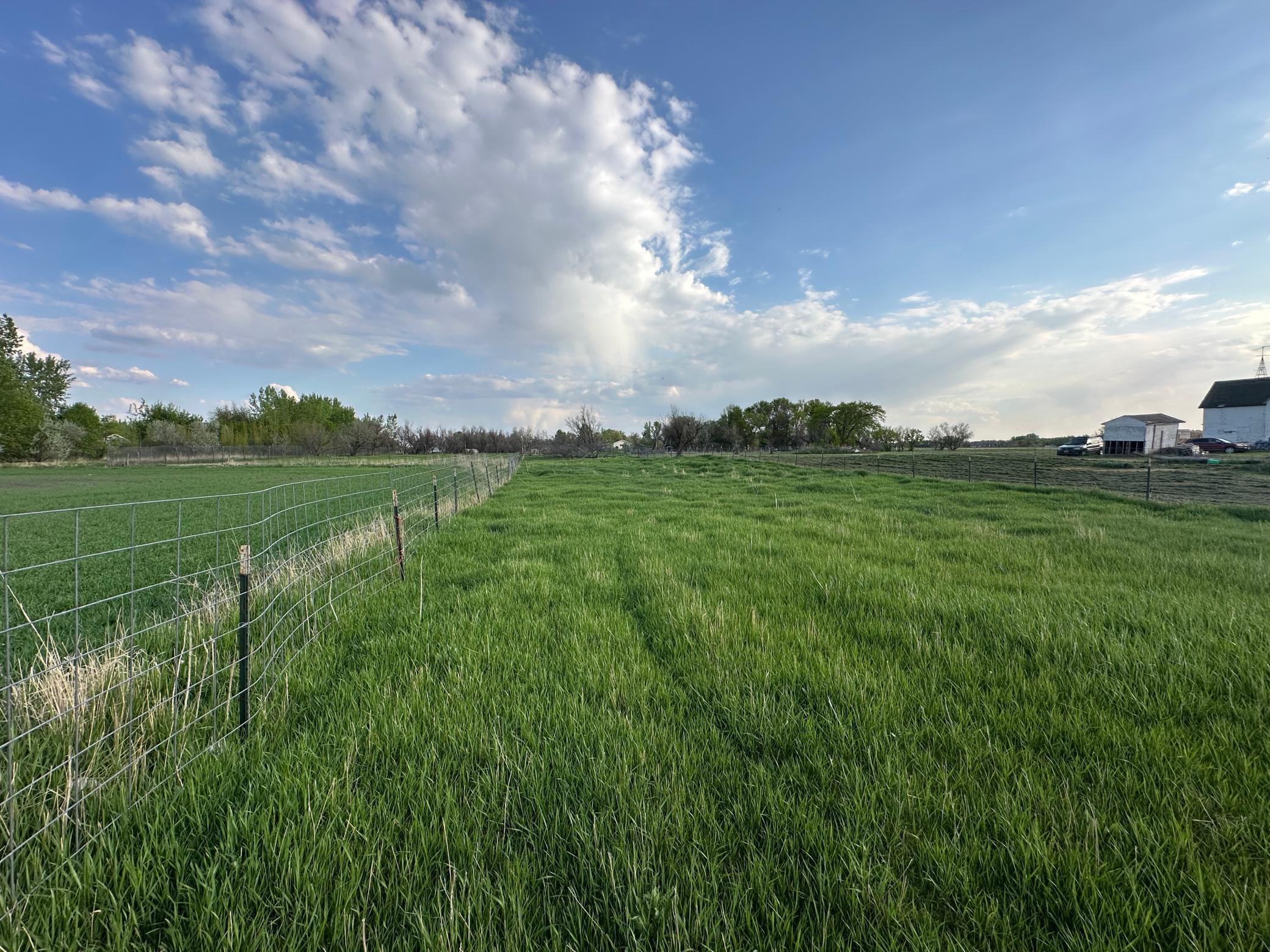1974 single family home for sale at 1582 NE Freedom Avenue in Manvel, ND — 2 bed, 1 bath (photo 9 of 55)