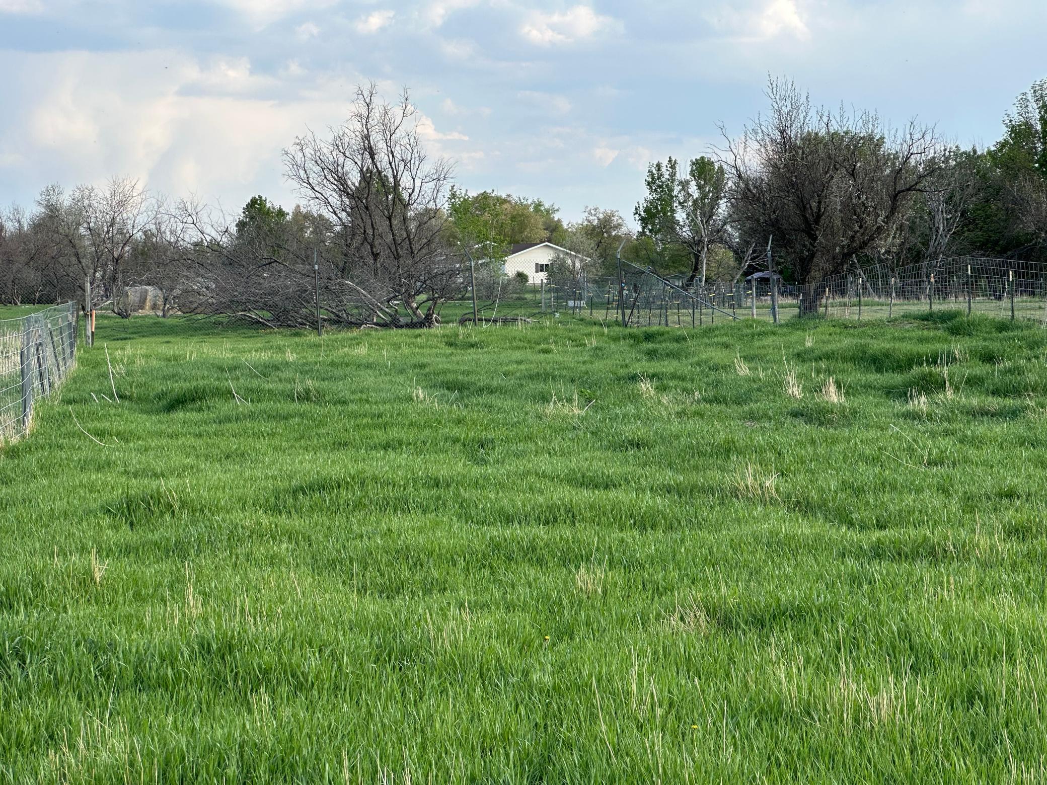 1974 single family home for sale at 1582 NE Freedom Avenue in Manvel, ND — 2 bed, 1 bath (photo 10 of 55)
