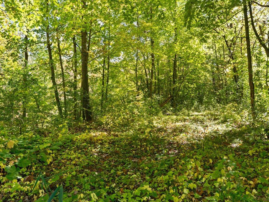 2008 single family home for sale at 24293 Deerwood Lane in Deerwood, MN — 3 bed, 2 bath (photo 46 of 47)