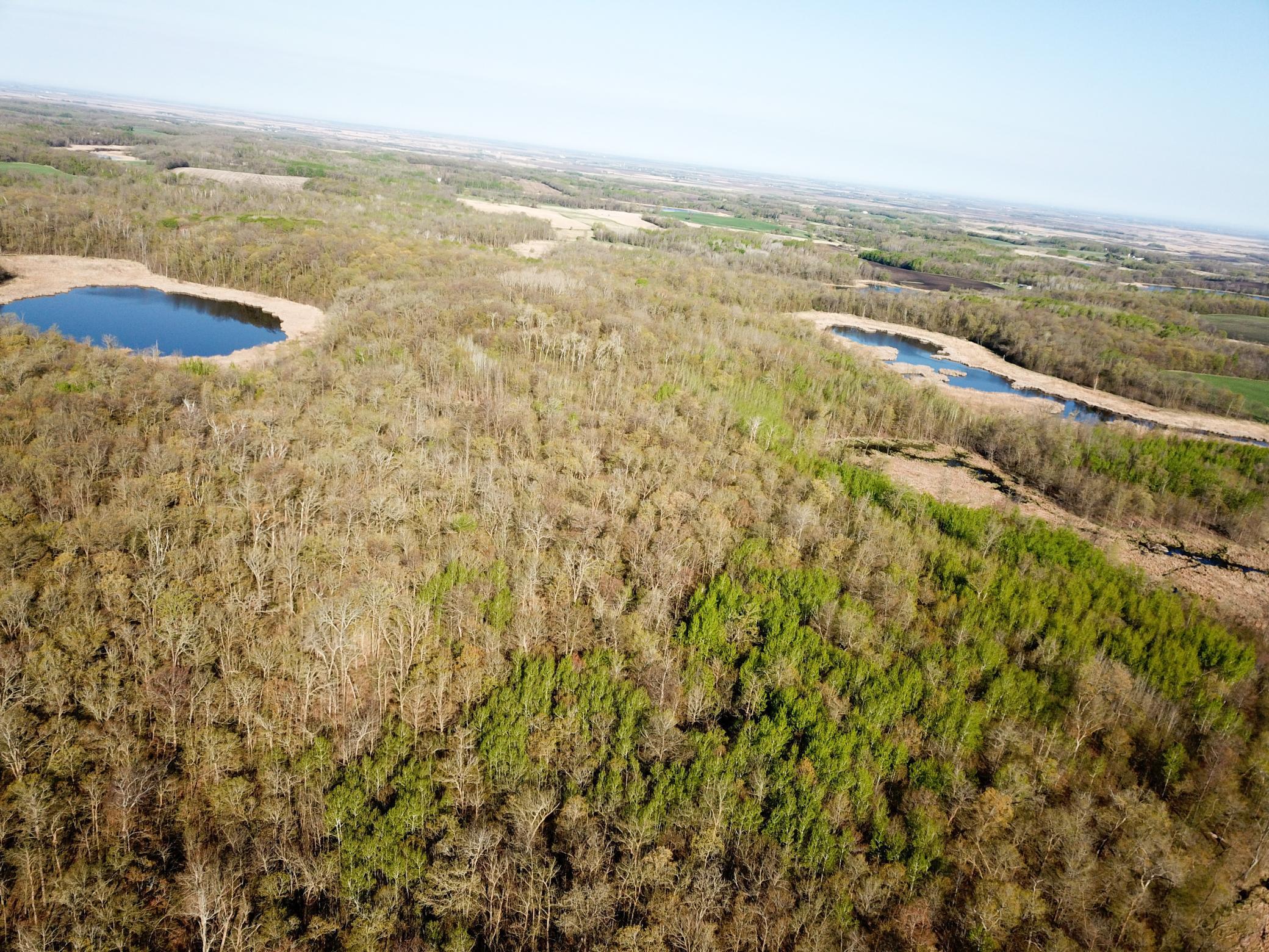 land for sale at TBD CSAH 39 in Waubun, MN (photo 15 of 68)