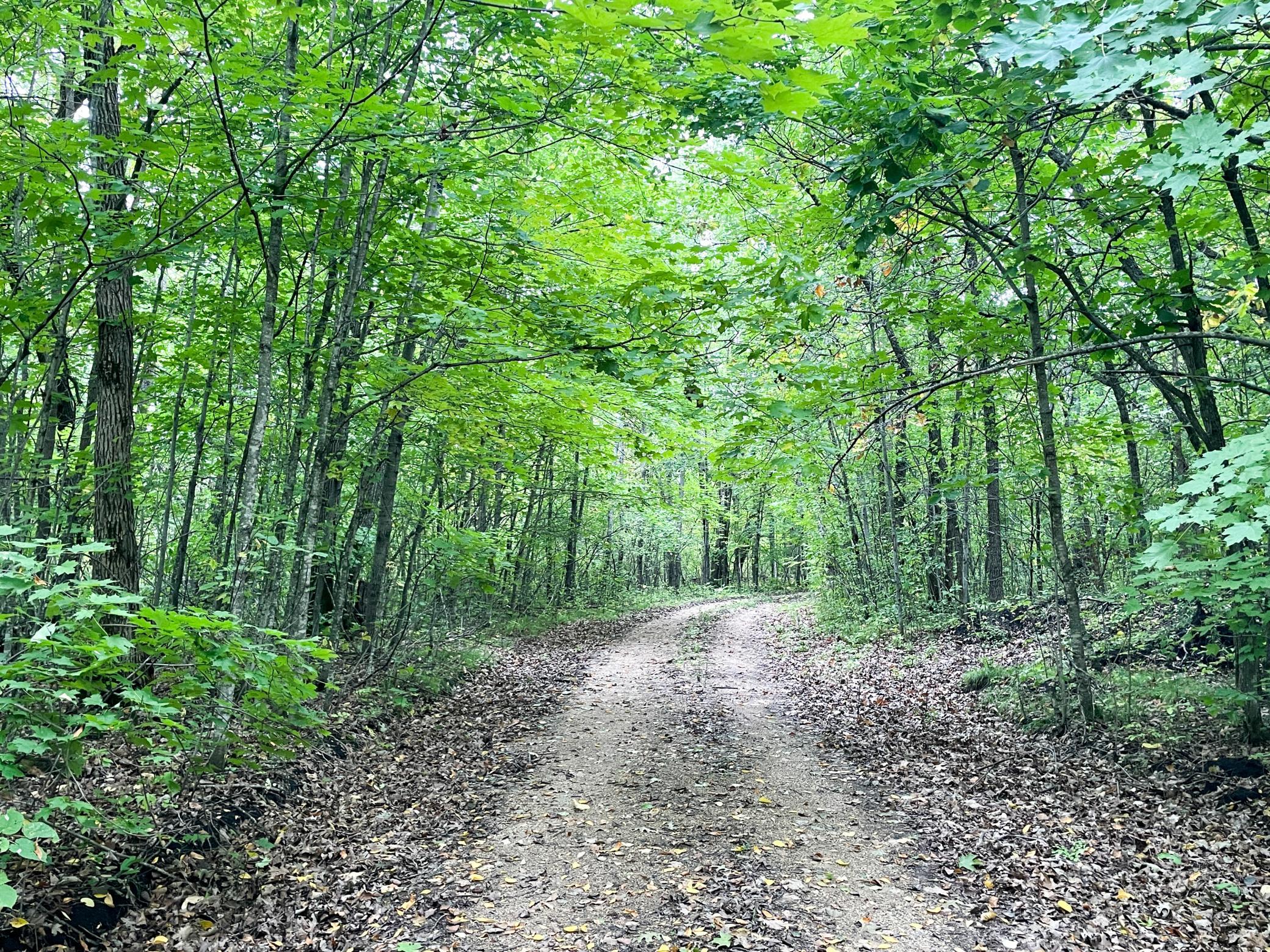 land for sale at TBD CSAH 39 in Waubun, MN (photo 21 of 68)