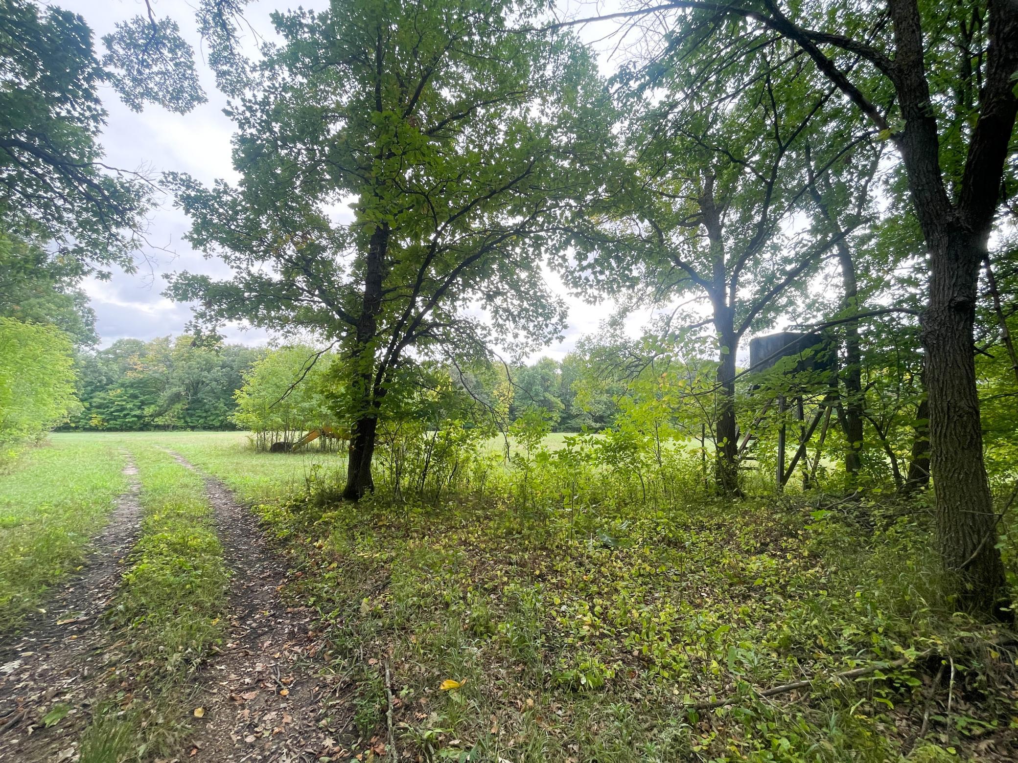 land for sale at TBD CSAH 39 in Waubun, MN (photo 24 of 68)
